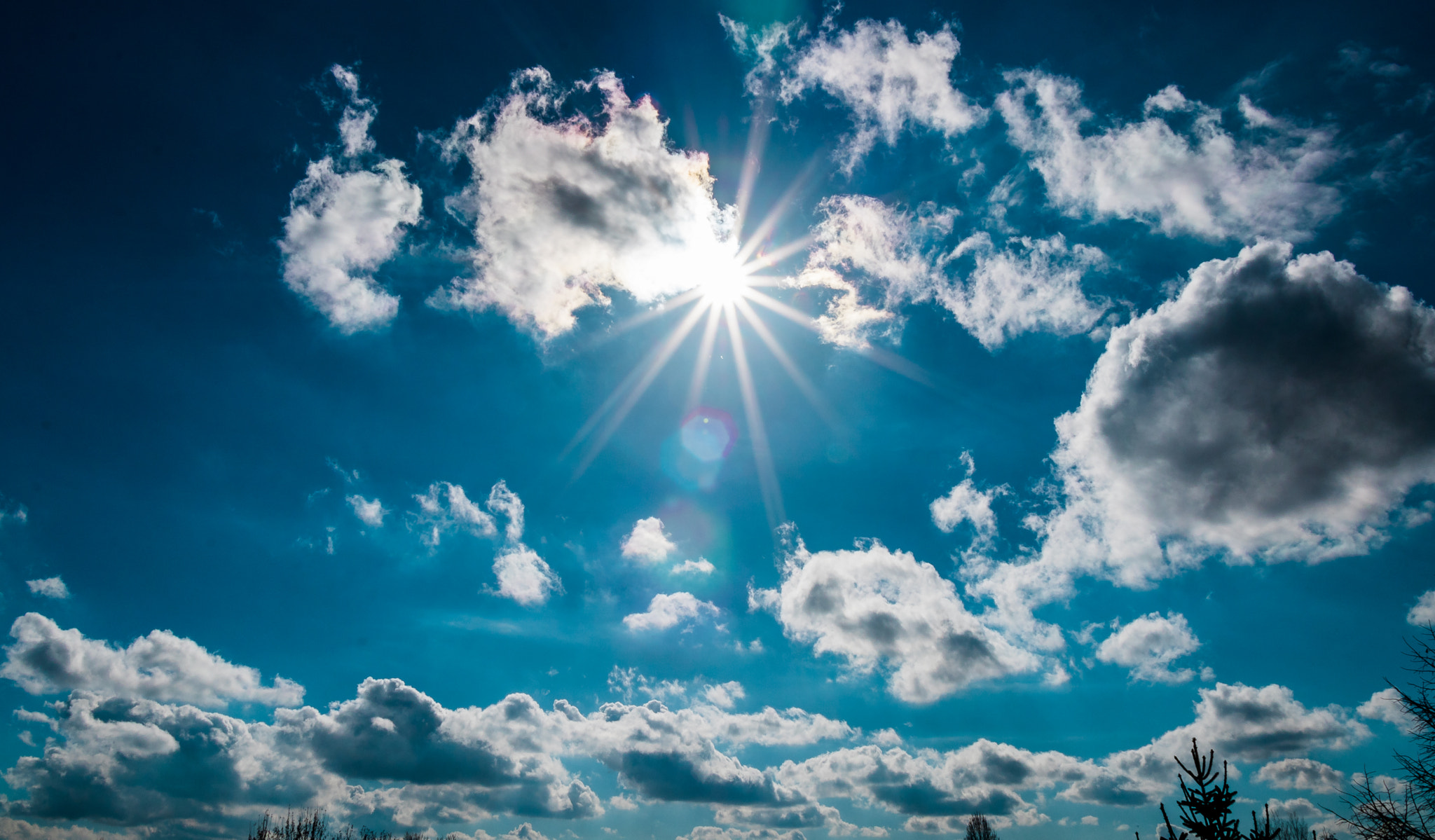 Canon EOS 750D (EOS Rebel T6i / EOS Kiss X8i) sample photo. Facing the sun photography