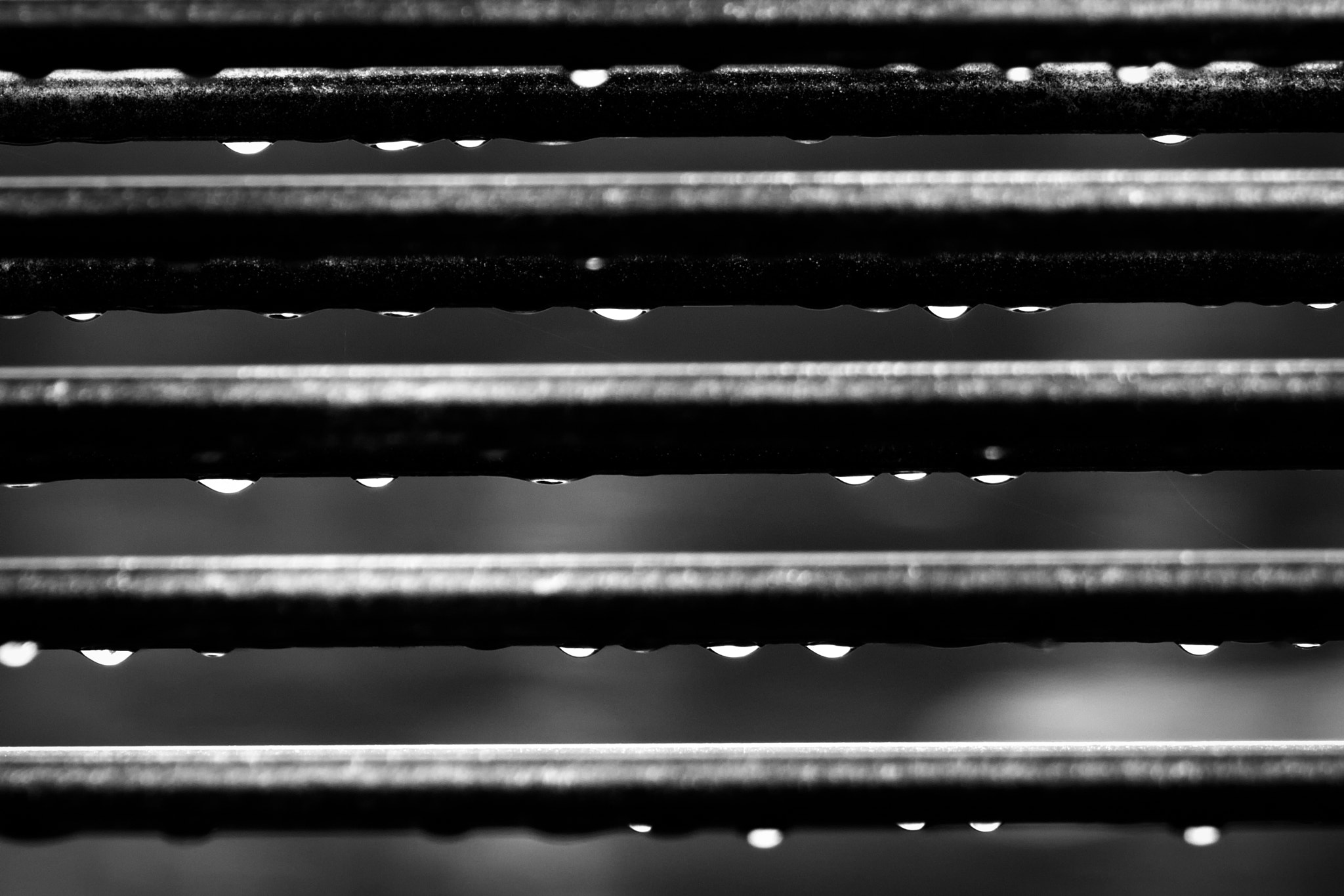Nikon D7200 sample photo. 'what if blessings come through raindrops...' photography