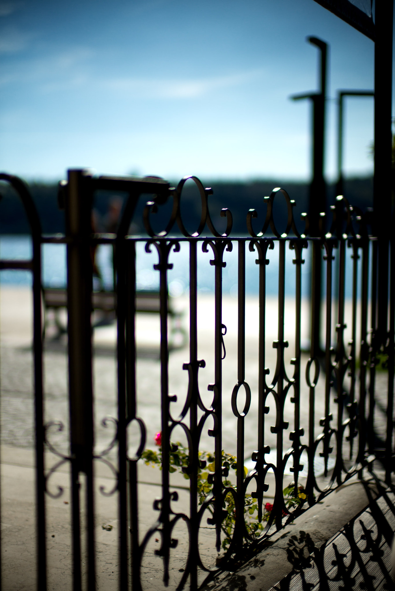 Leica Noctilux-M 50mm F0.95 ASPH sample photo. Lake 1 photography