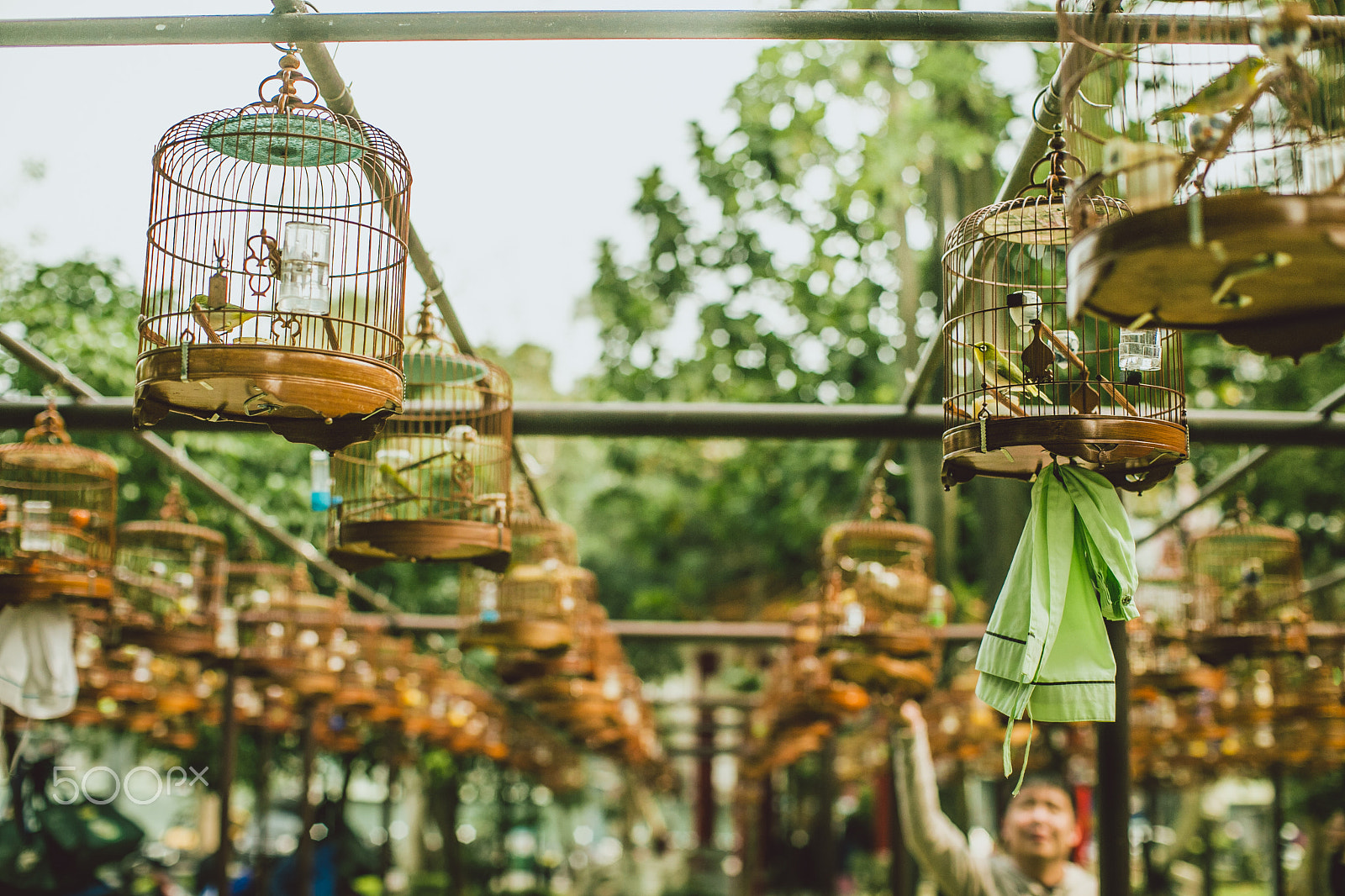 Canon EF 28-70mm f/3.5-4.5 sample photo. Morning park with bird market photography