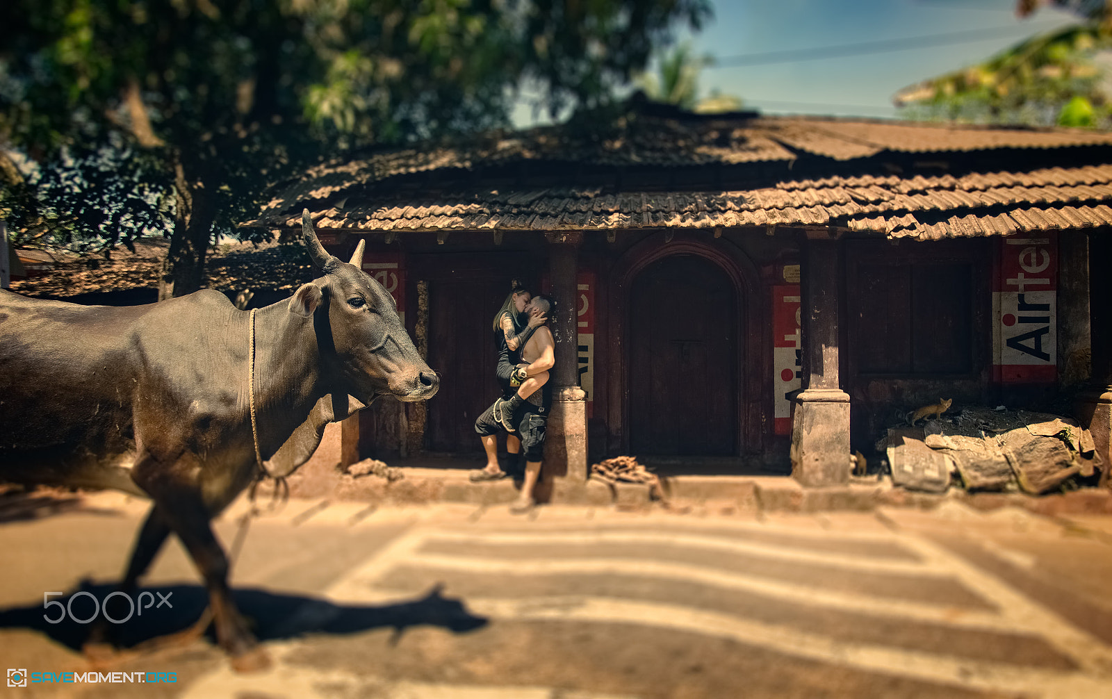 Canon EF 16-35mm F2.8L USM sample photo. Quiet small streets of goa photography
