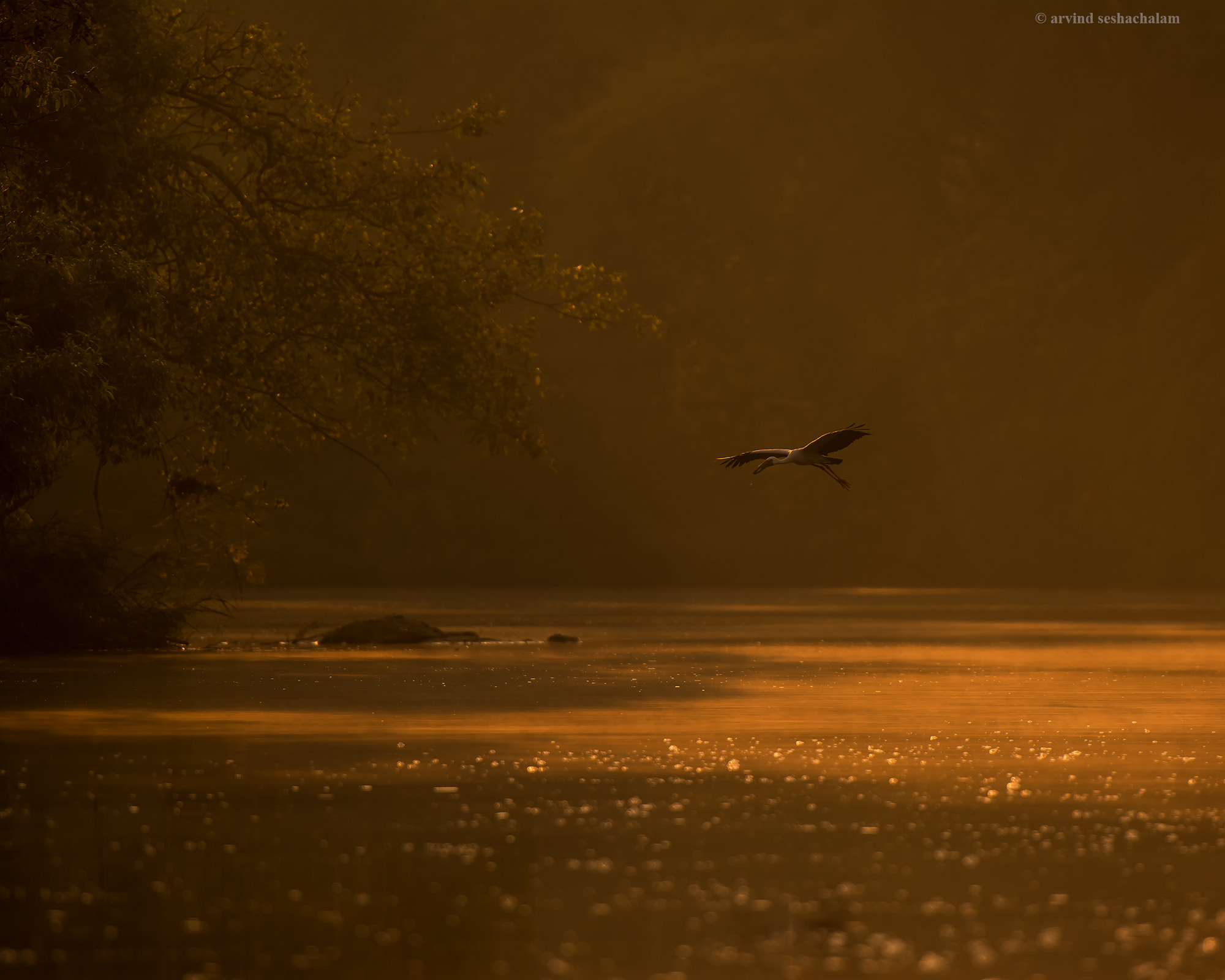 Nikon AF-S Nikkor 70-200mm F2.8G ED VR II sample photo