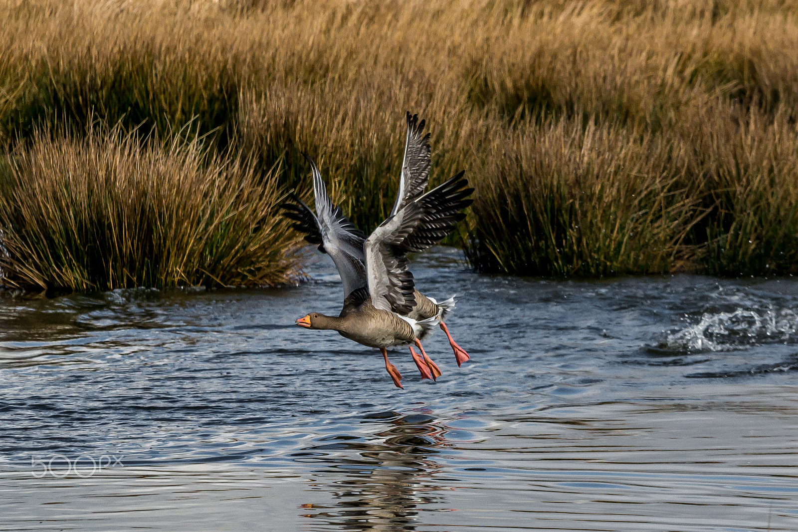 Nikon D7100 + Sigma 70-200mm F2.8 EX DG OS HSM sample photo. Optical illusion photography