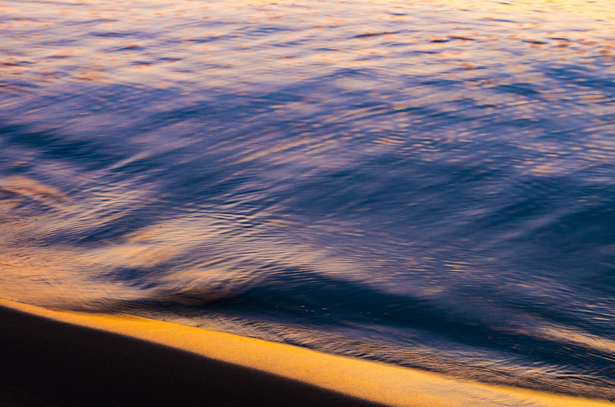 Pentax K-5 IIs sample photo. Purple and gold photography