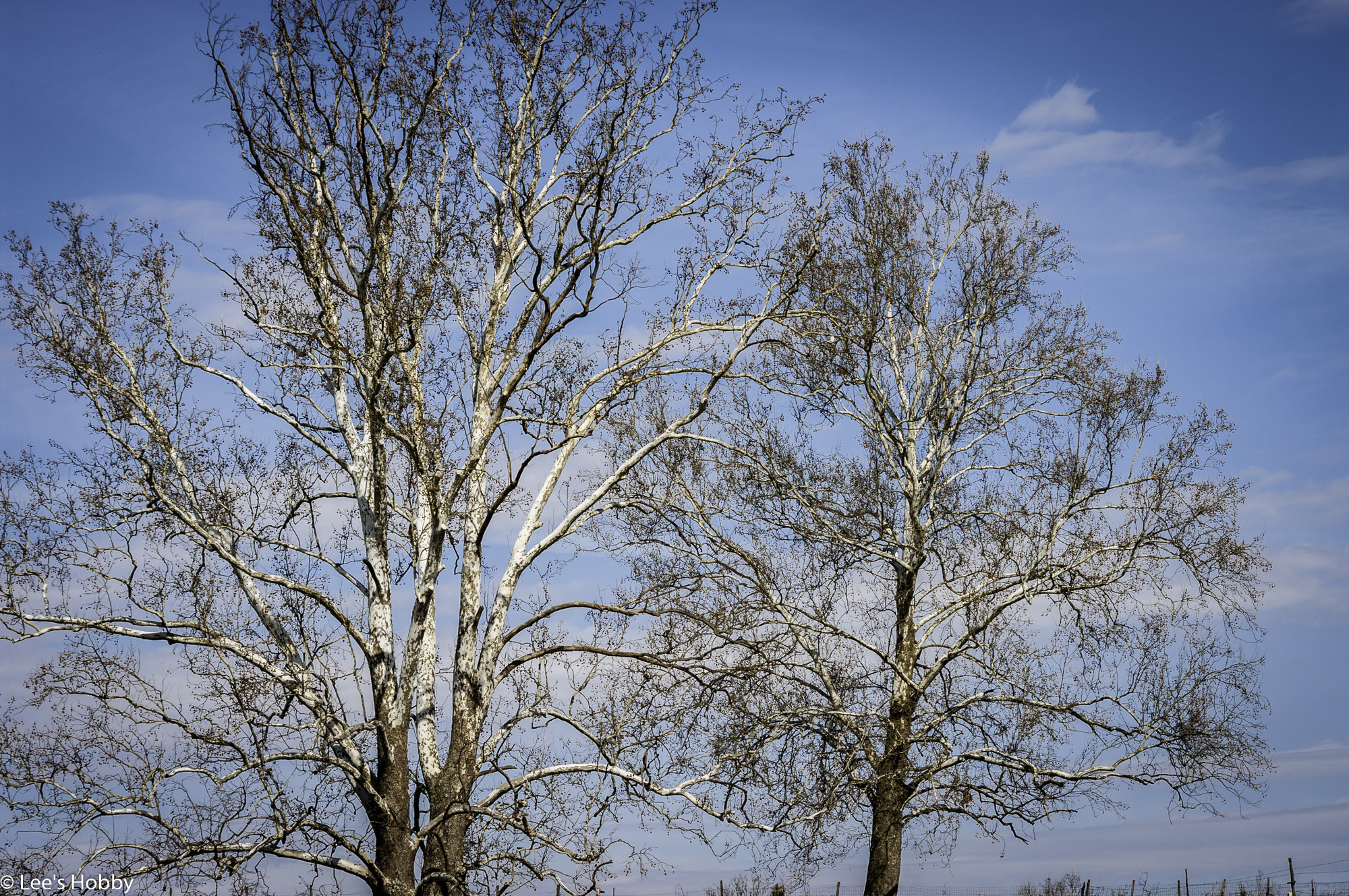 Pentax K20D sample photo. Sunday drive photography