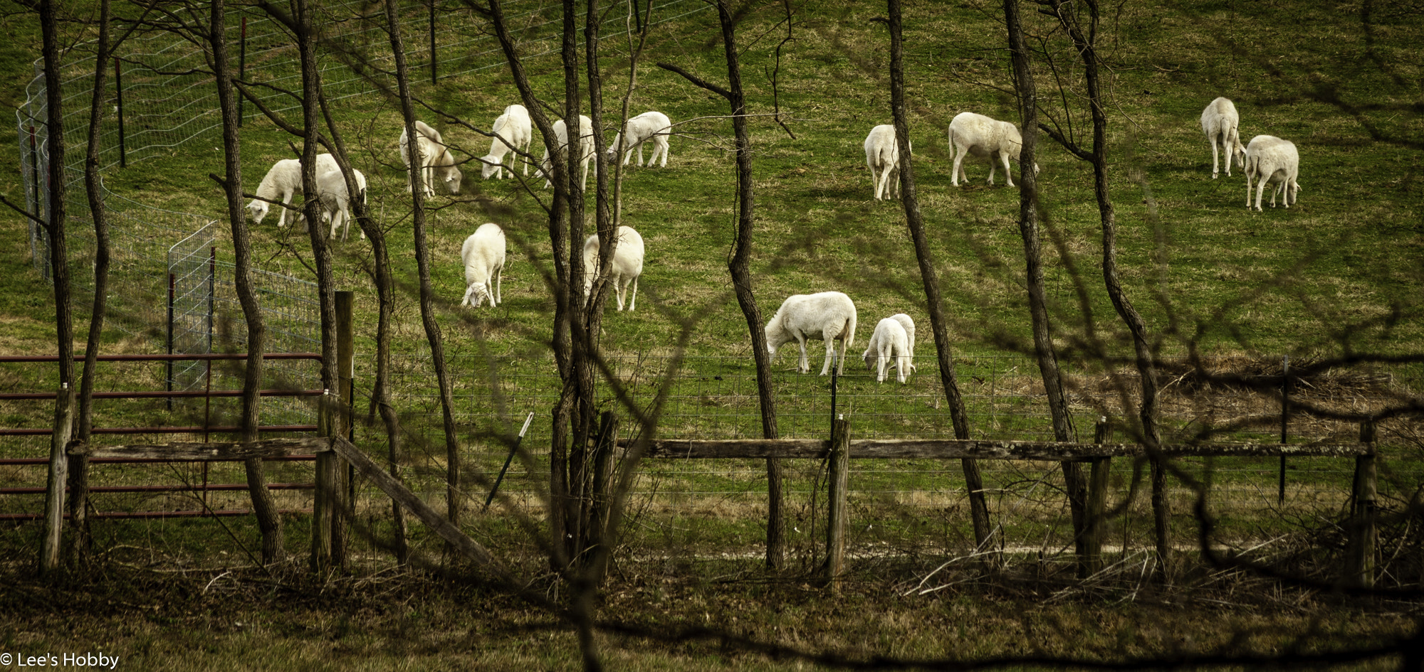 HD Pentax DA 55-300mm F4.0-5.8 ED WR sample photo. Sunday drive photography