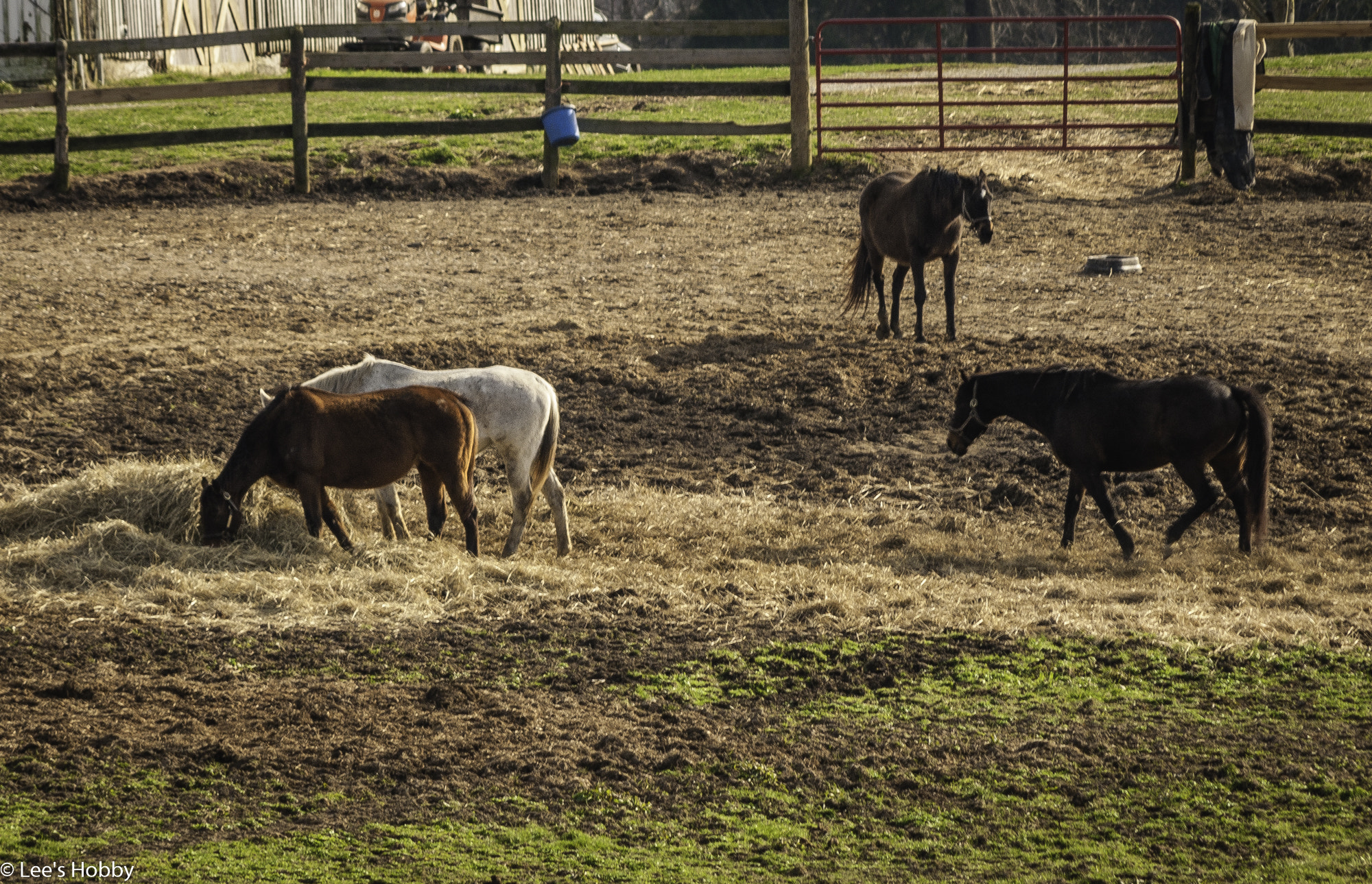 HD Pentax DA 55-300mm F4.0-5.8 ED WR sample photo. Sunday drive photography