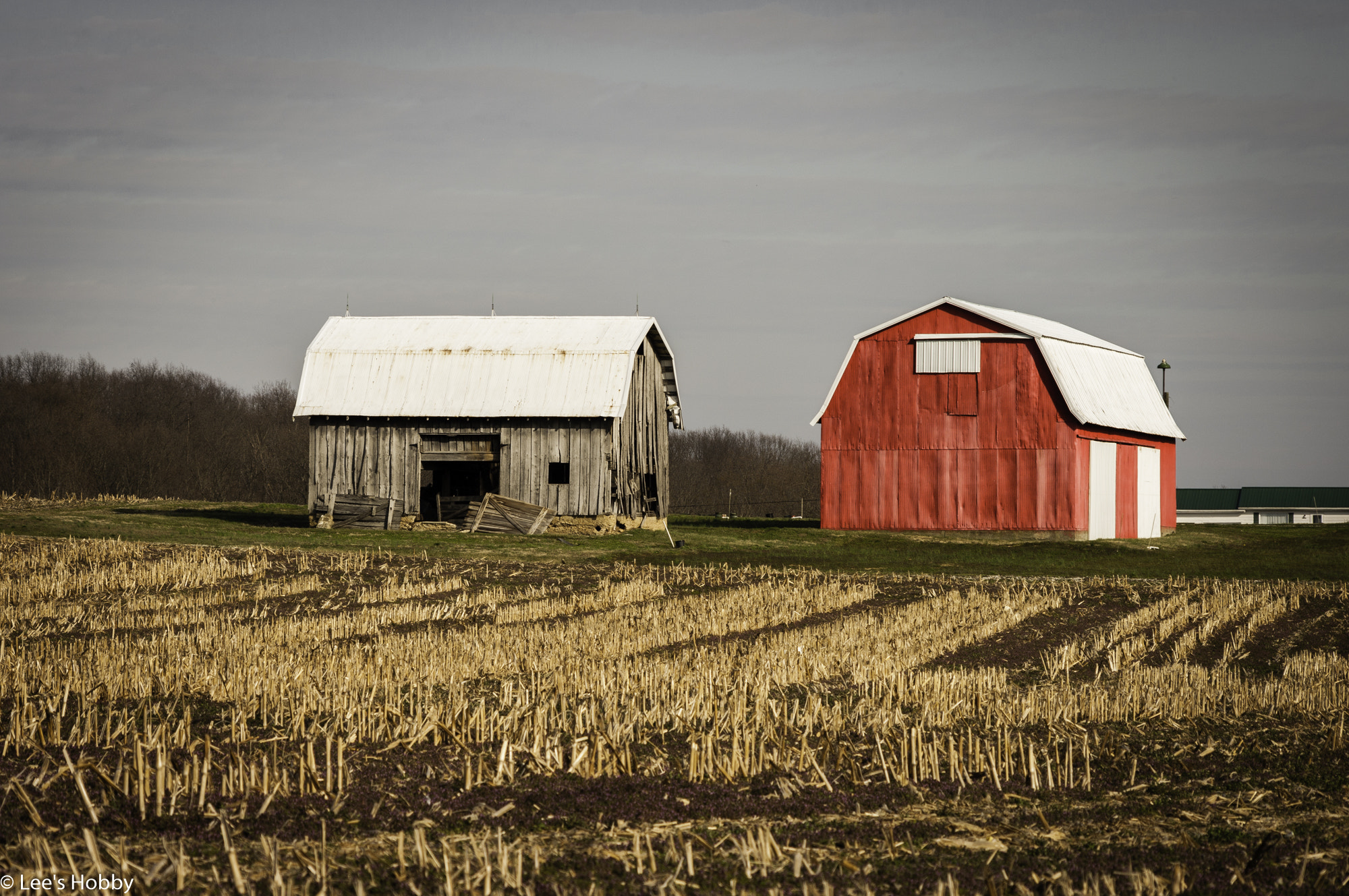 Pentax K20D sample photo. Sunday drive photography