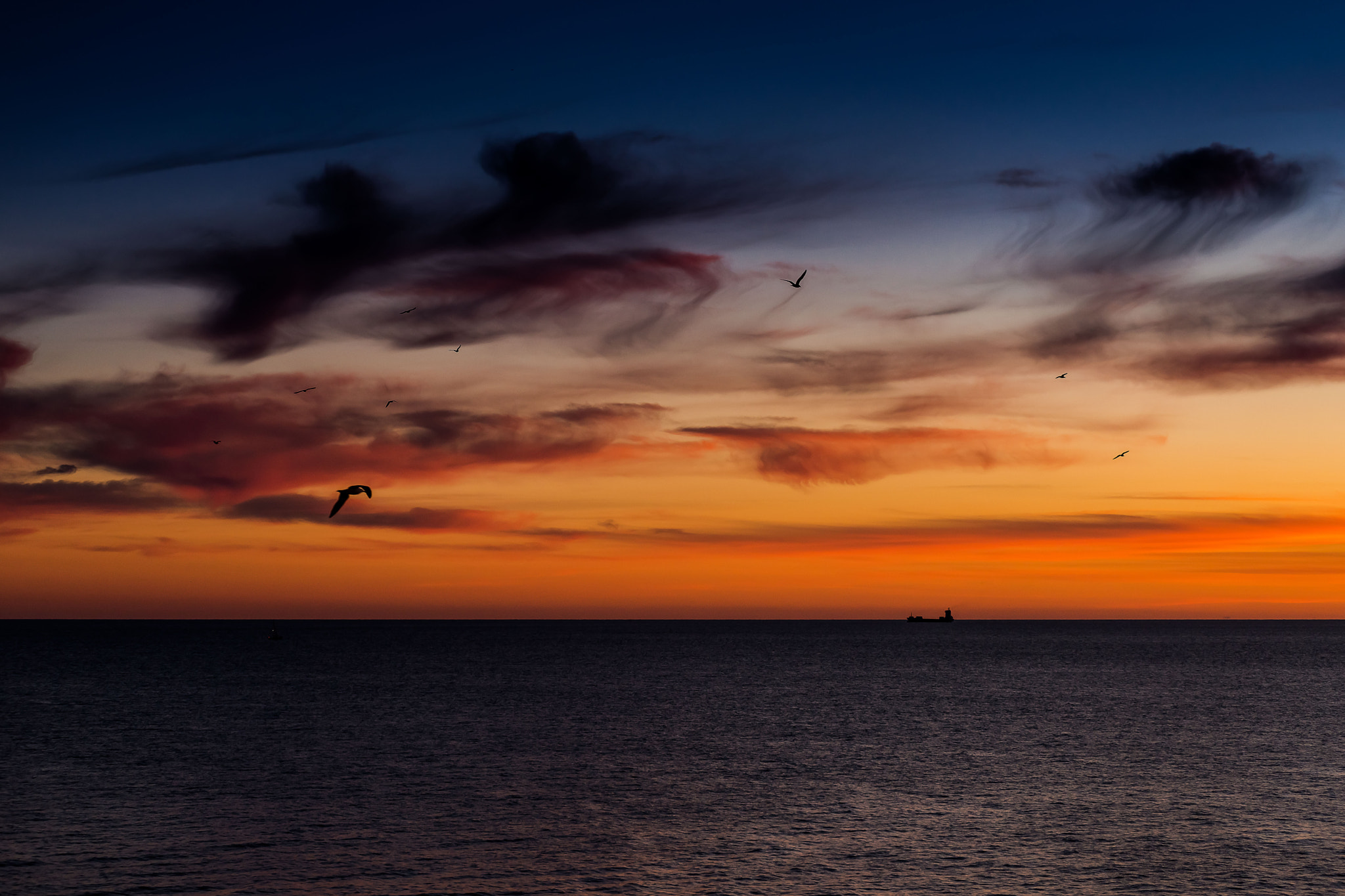 Nikon AF-Nikkor 80-200mm F2.8D ED sample photo. In the sky... on the sea photography