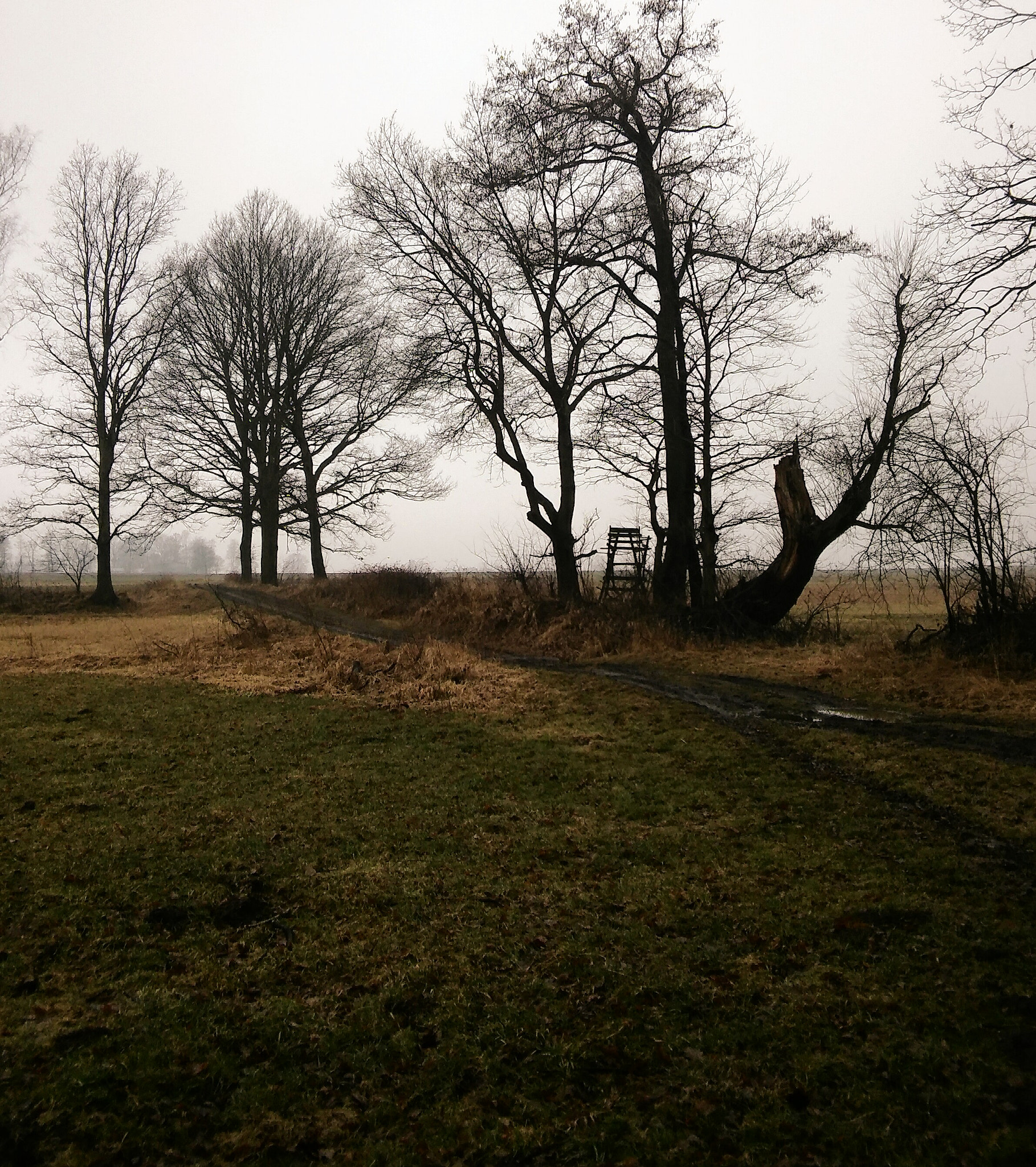 LG SPIRIT 4G LTE sample photo