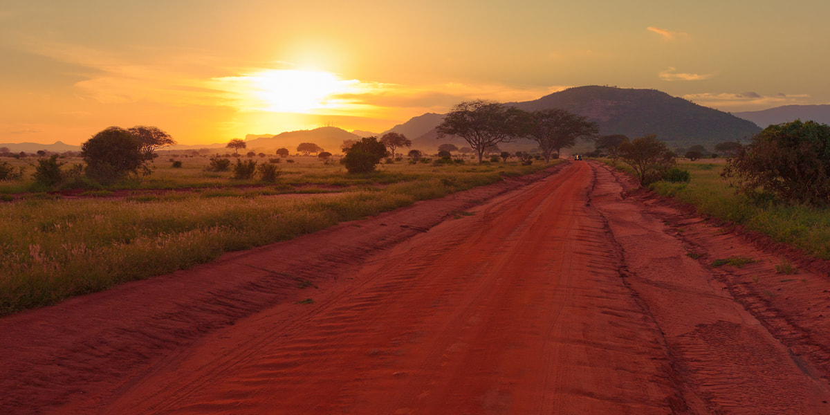 Canon EF 16-35mm F2.8L II USM sample photo. Tsavo east photography