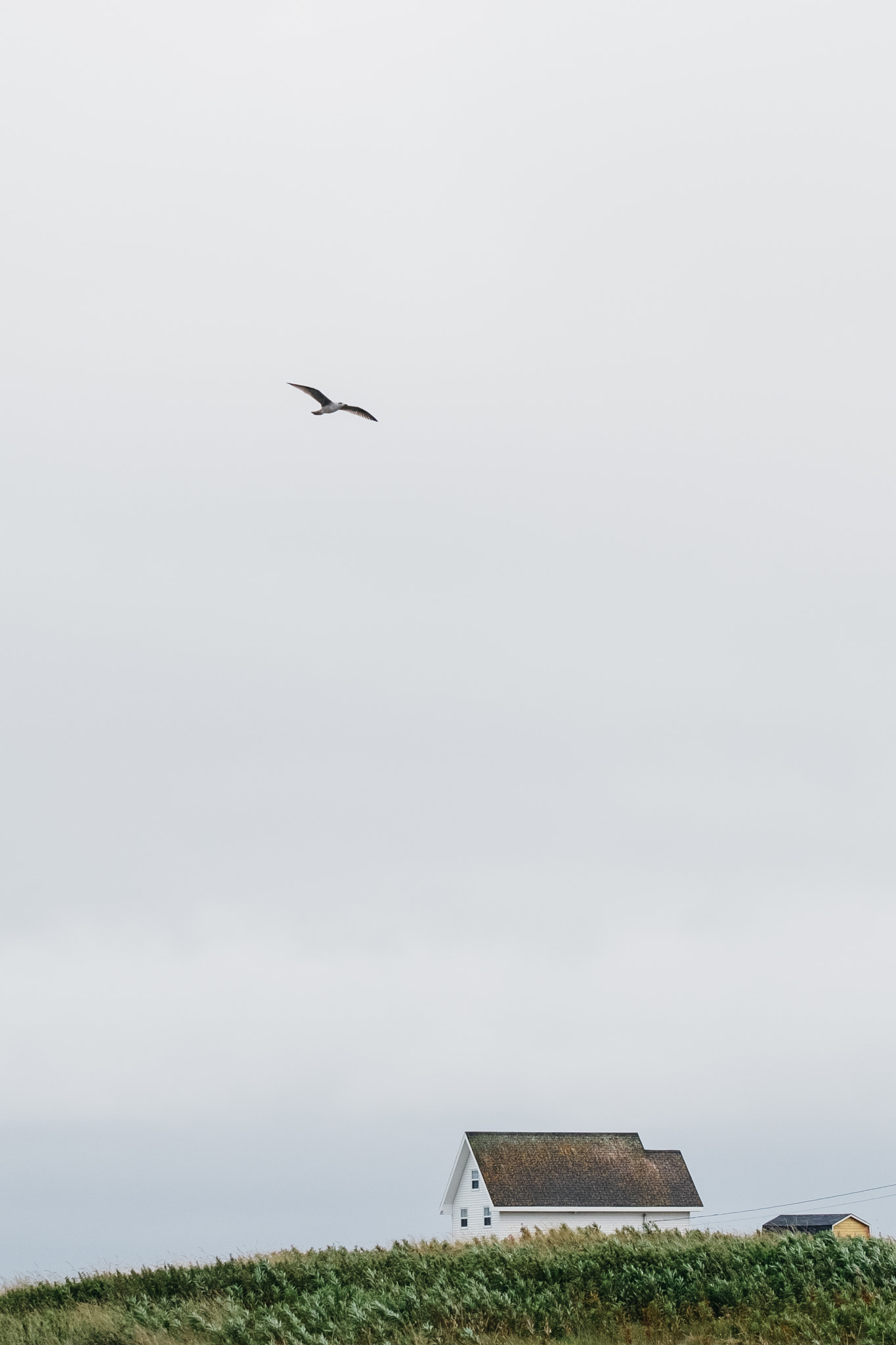 Fujifilm XF 55-200mm F3.5-4.8 R LM OIS sample photo. Newfoundland coast photography