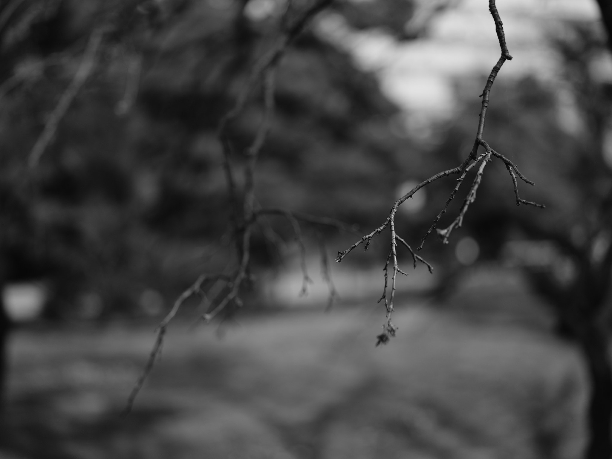 Fujifilm GFX 50S + Fujifilm GF 63mm F2.8 R WR sample photo. Slicence photography