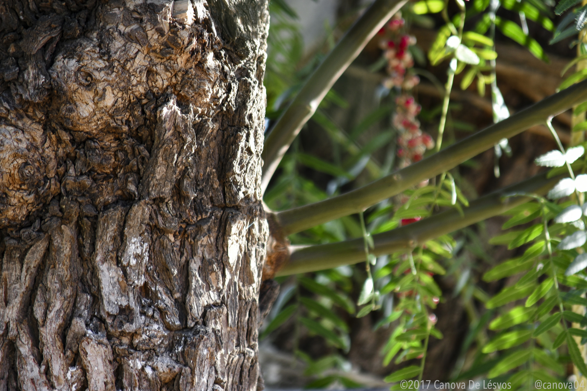 Nikon D3400 sample photo. The wrinkles of nature photography