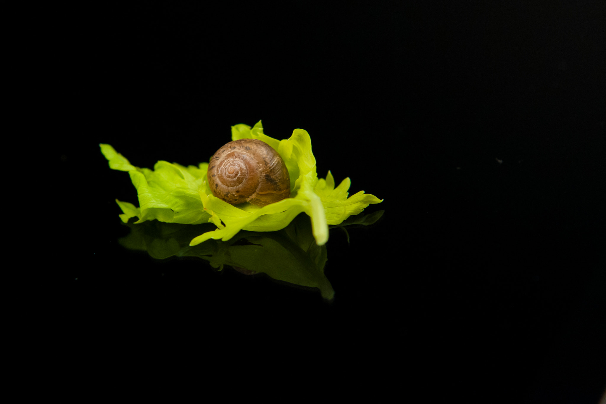 Sigma 24-70mm F2.8 EX DG HSM sample photo. Slow life photography