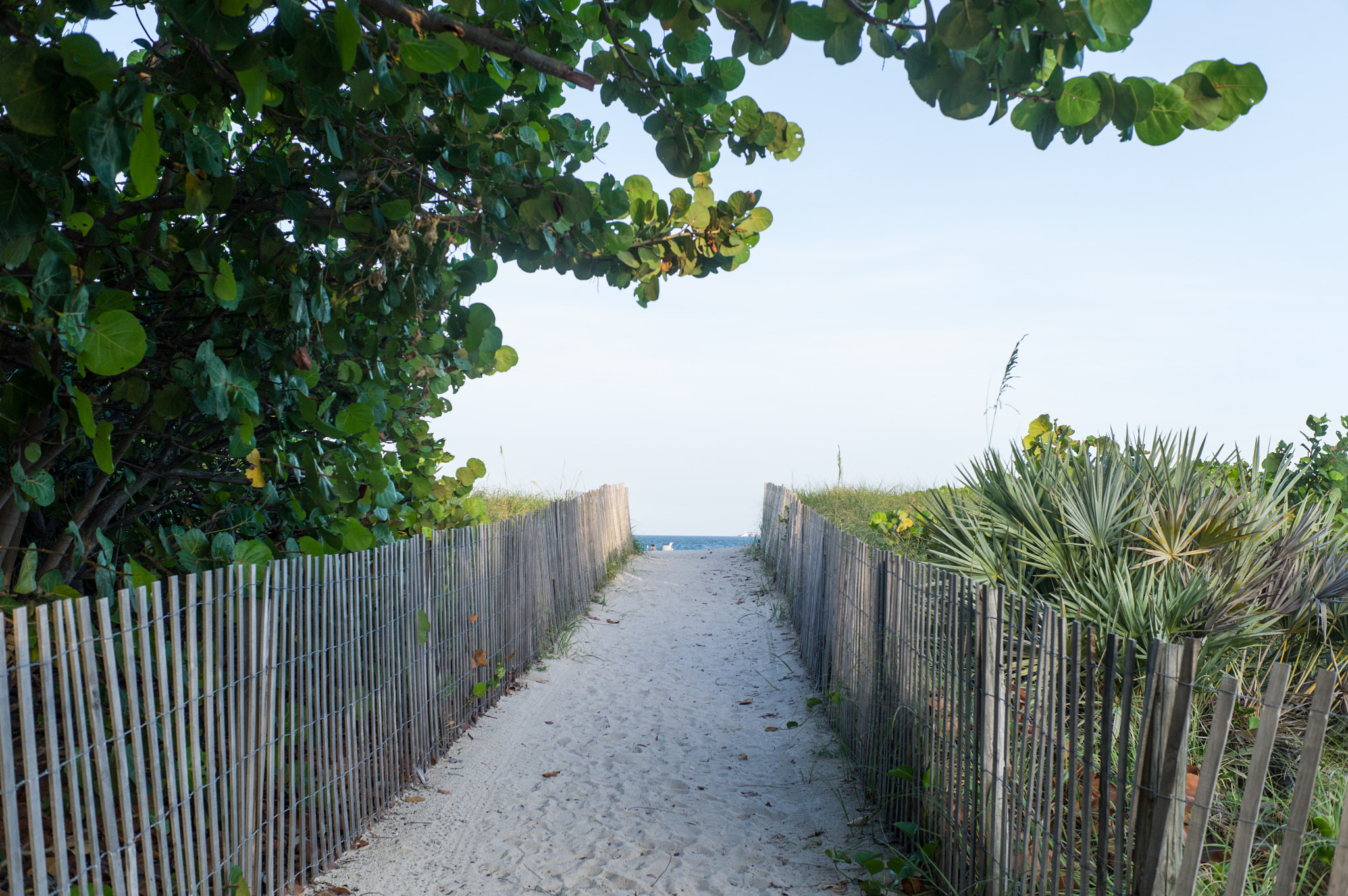 Leica M9 + Summicron-M 35mm f/2 (IV) sample photo. Down to the beach photography