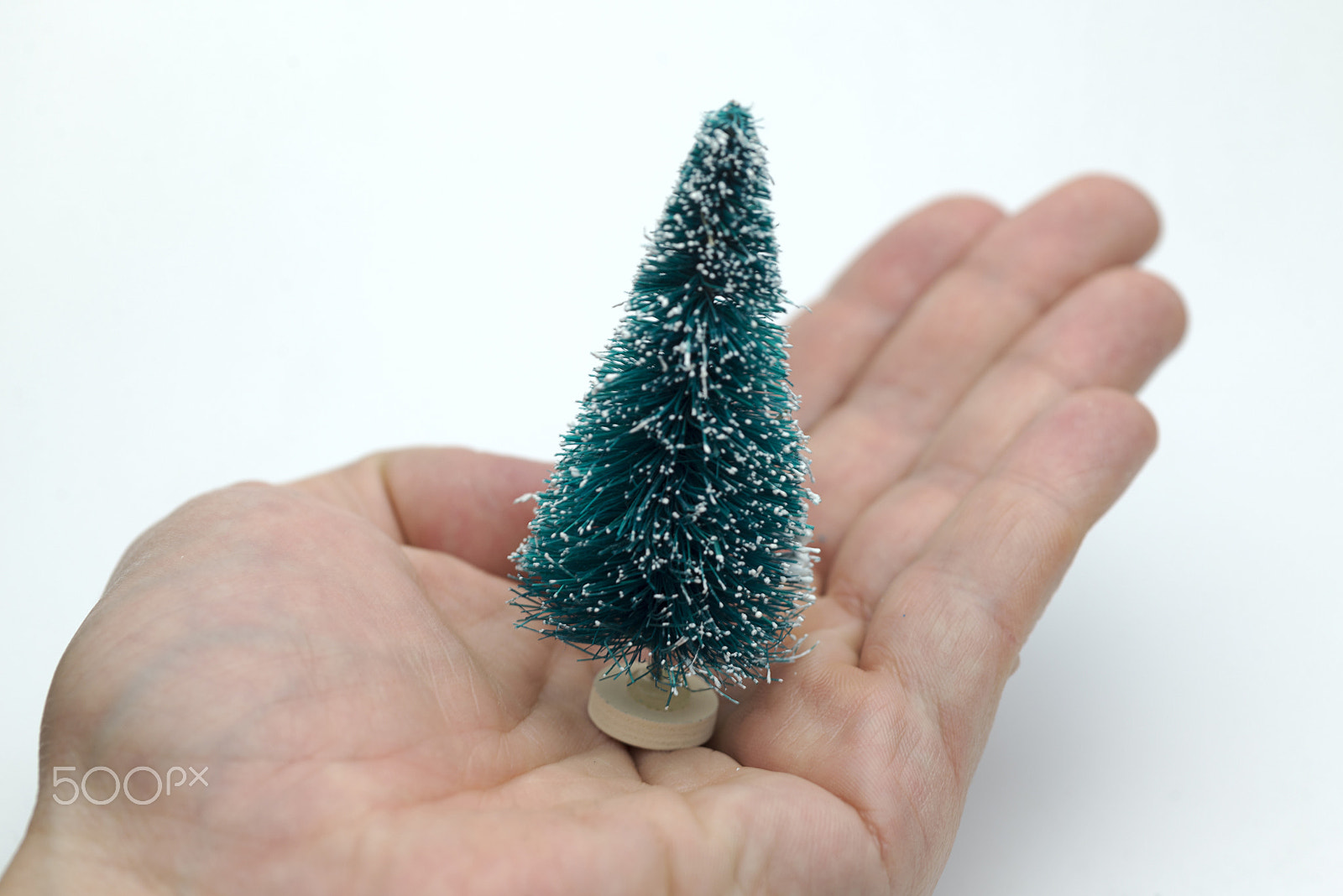 Nikon D600 + Nikon AF Micro-Nikkor 60mm F2.8D sample photo. Hands holding toy christmas tree. photography