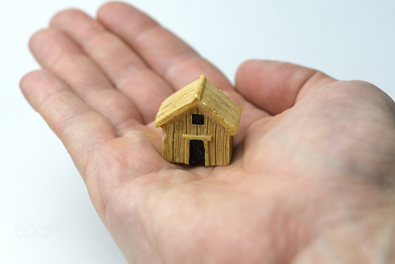 Nikon D600 + Nikon AF Micro-Nikkor 60mm F2.8D sample photo. Hand holding a house. photography