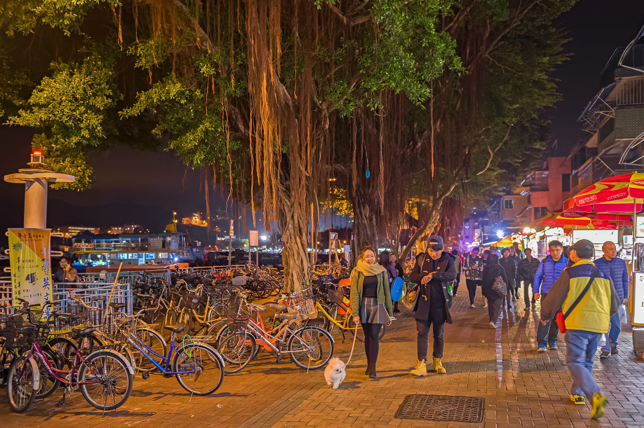 Nikon D4S sample photo. Night at cheung chau praya, hong kong photography