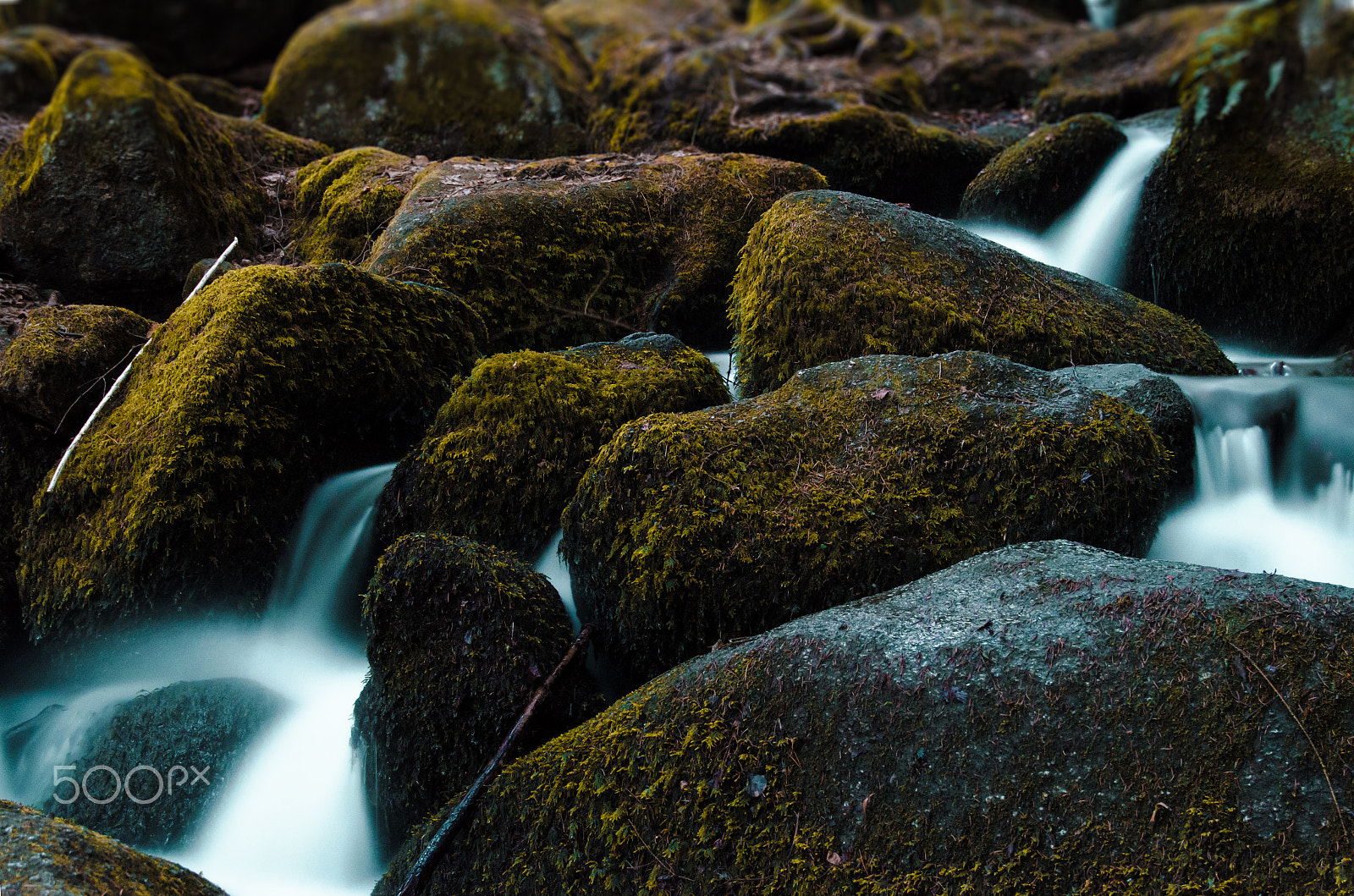 Nikon D5100 + Nikon PC-E Nikkor 24mm F3.5D ED Tilt-Shift sample photo. Small stream in the woods photography