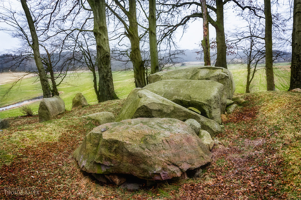 Canon EOS 450D (EOS Rebel XSi / EOS Kiss X2) sample photo. Großsteingrab bei katelbogen  -  megalithic tomb nearby the village katelbogen. photography