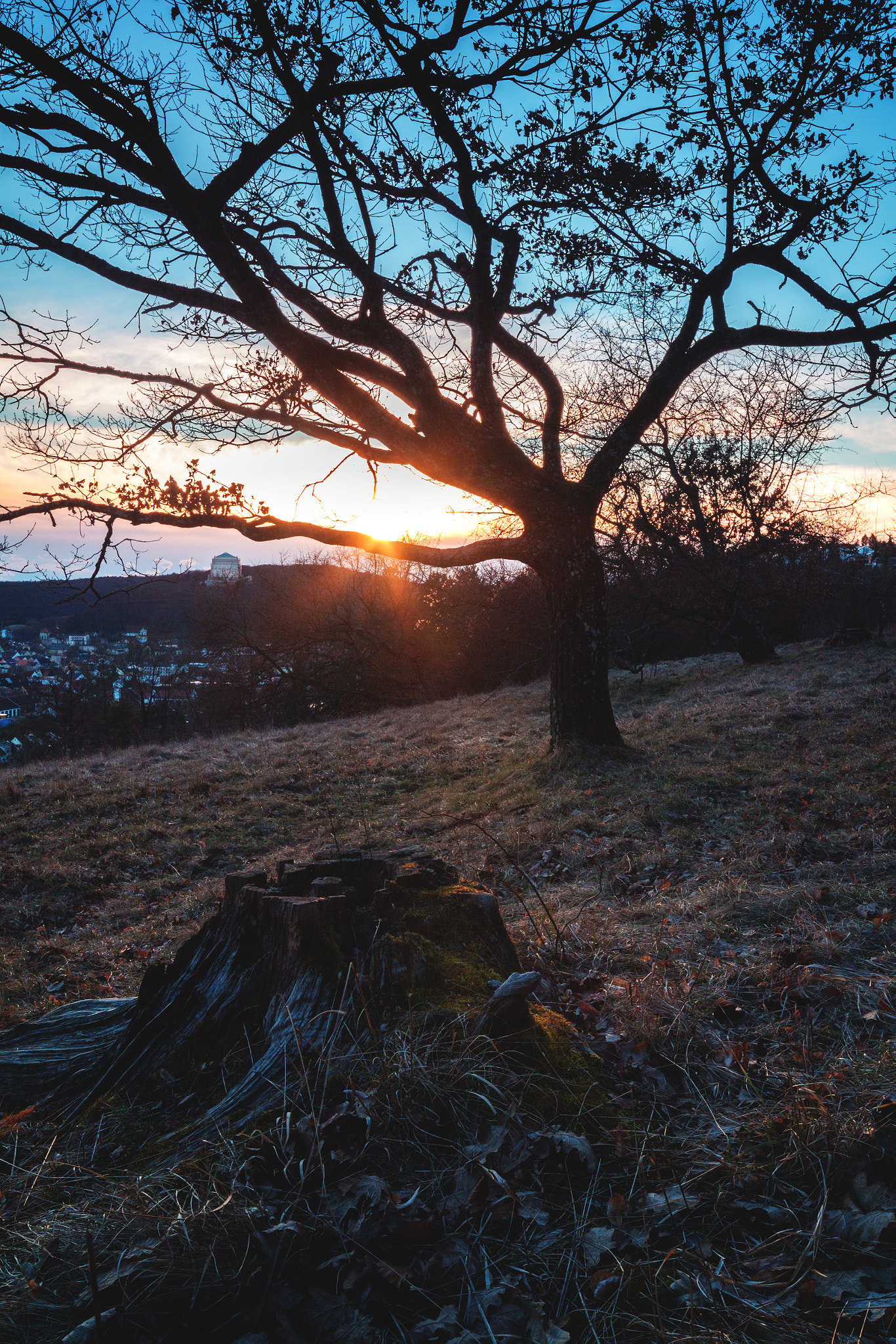 Canon EOS 650D (EOS Rebel T4i / EOS Kiss X6i) + Sigma 10-20mm F4-5.6 EX DC HSM sample photo. Goldberg sunset photography