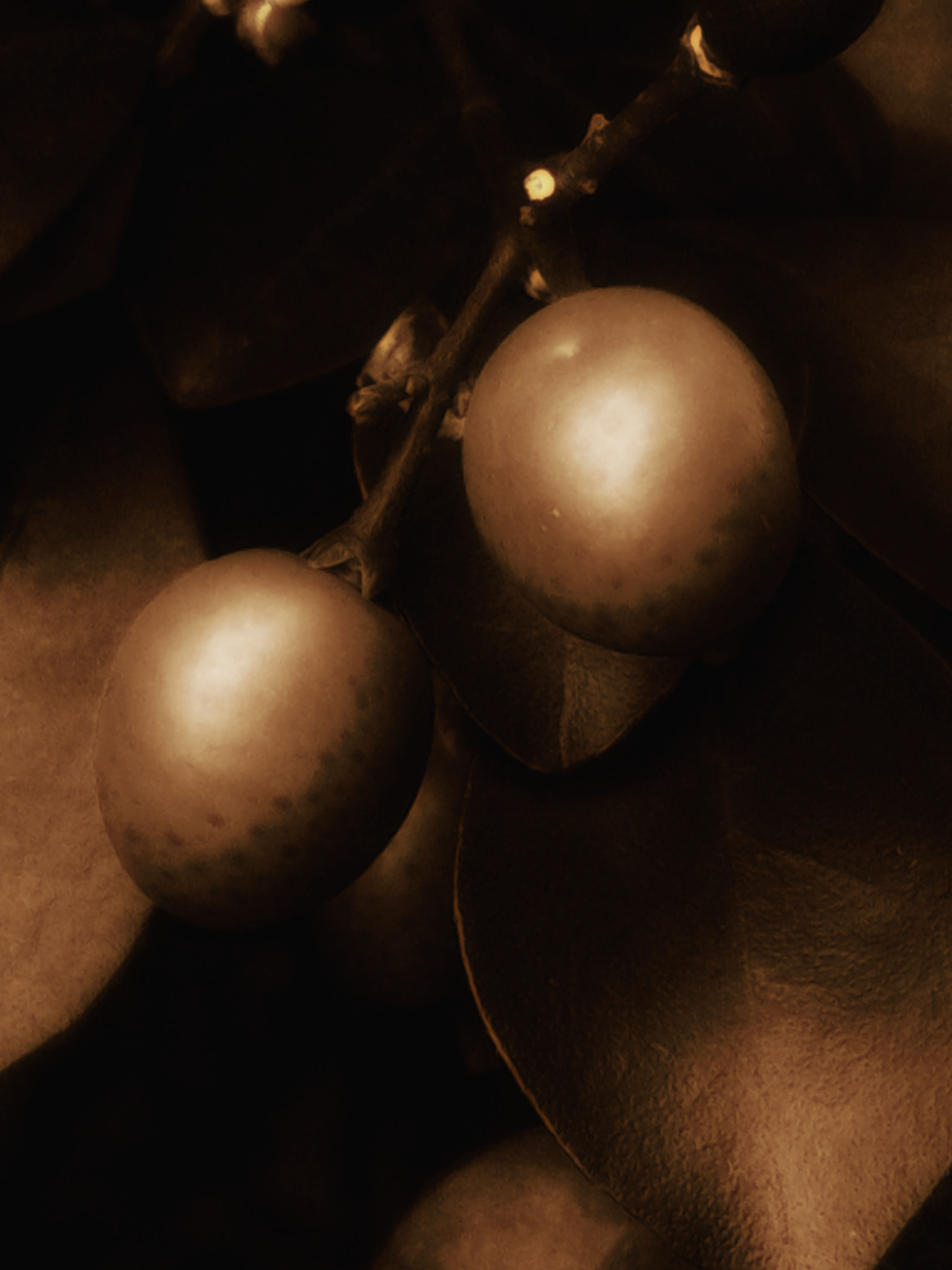 ASUS Z008D sample photo. Gold fruits photography