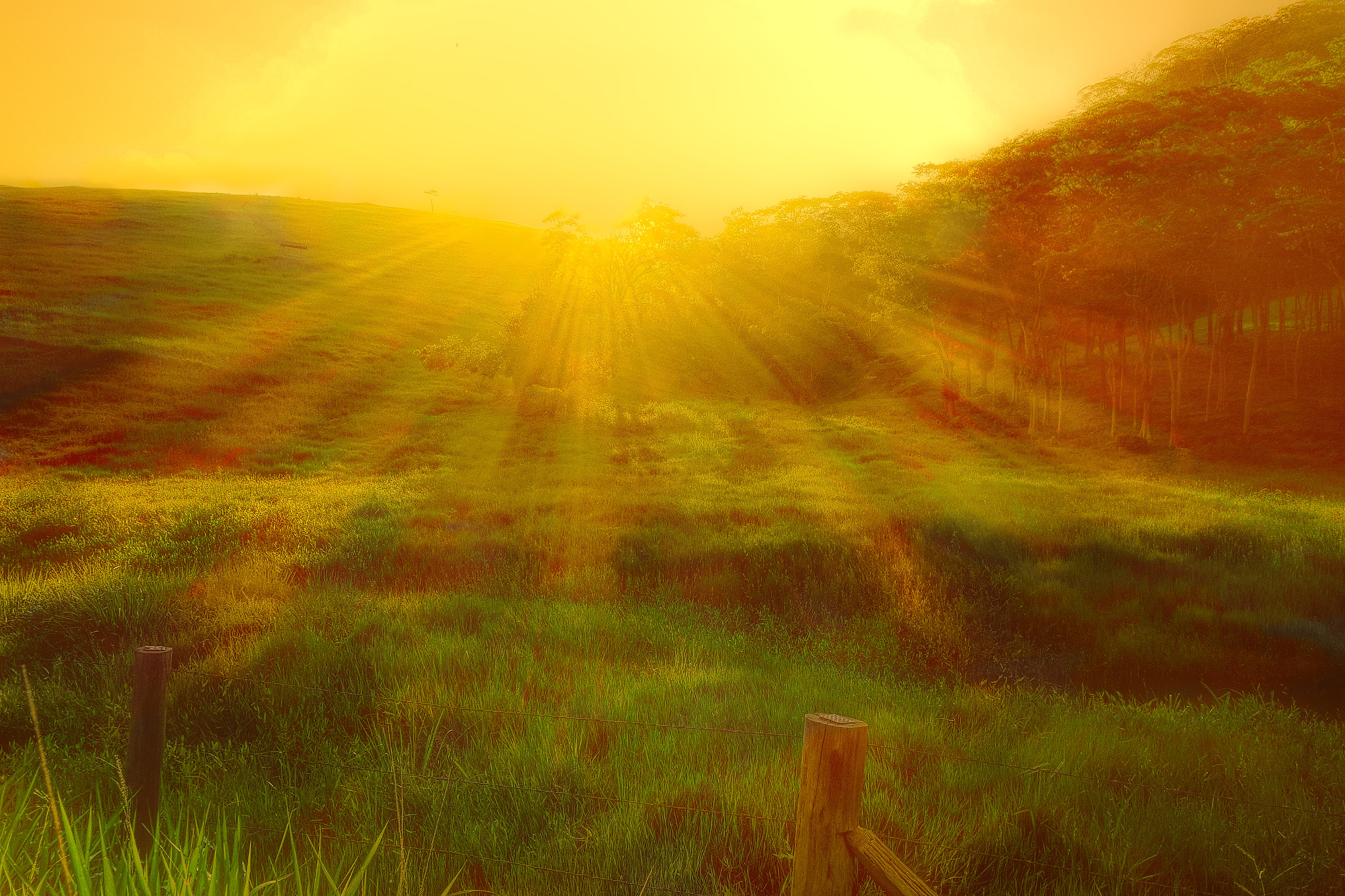 Samsung NX mini sample photo. Here comes the sun photography