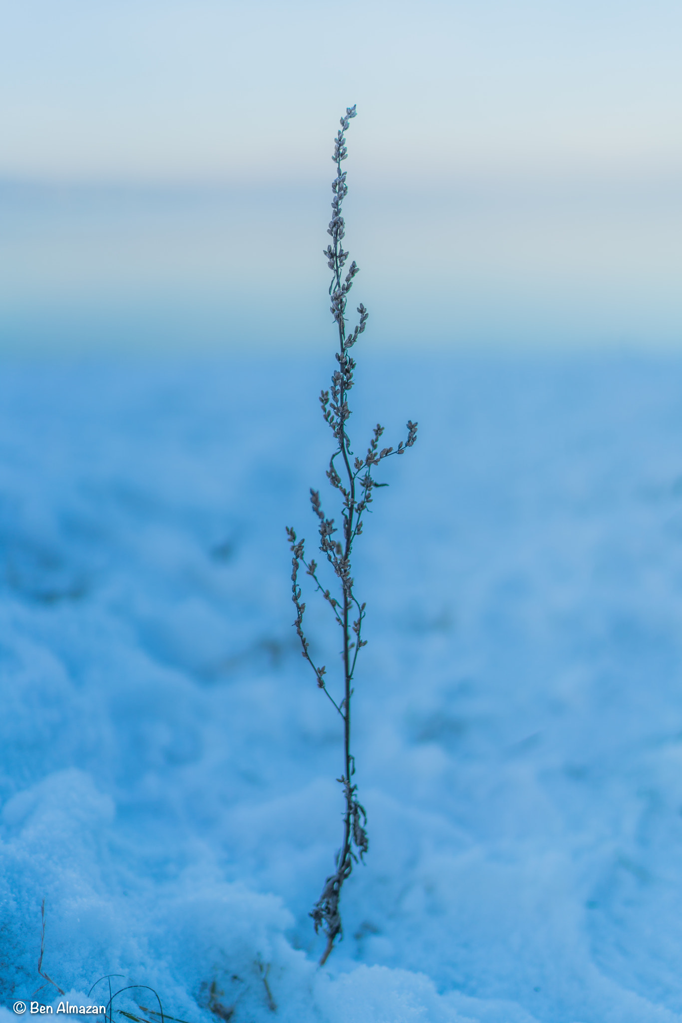 Sony a7R II + Sony Distagon T* FE 35mm F1.4 ZA sample photo. Dsc photography