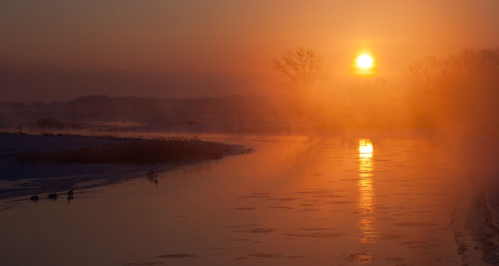 Canon EF 100mm F2.8L Macro IS USM sample photo. Fog on the river photography