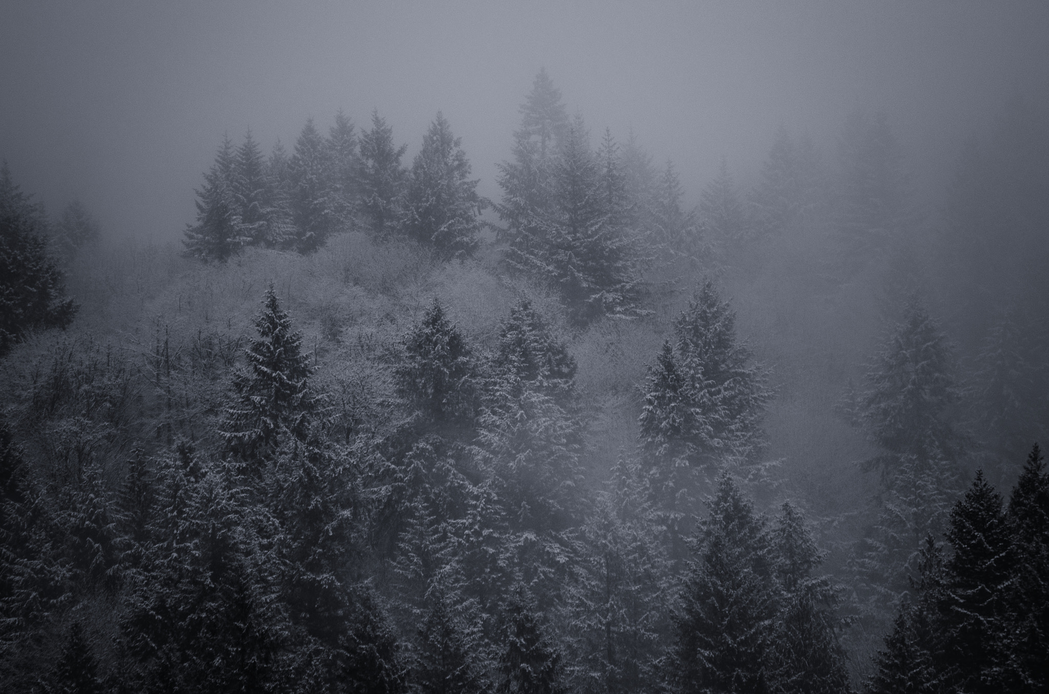 smc Pentax-DA L 50-200mm F4-5.6 ED WR sample photo. Unexpected snow photography