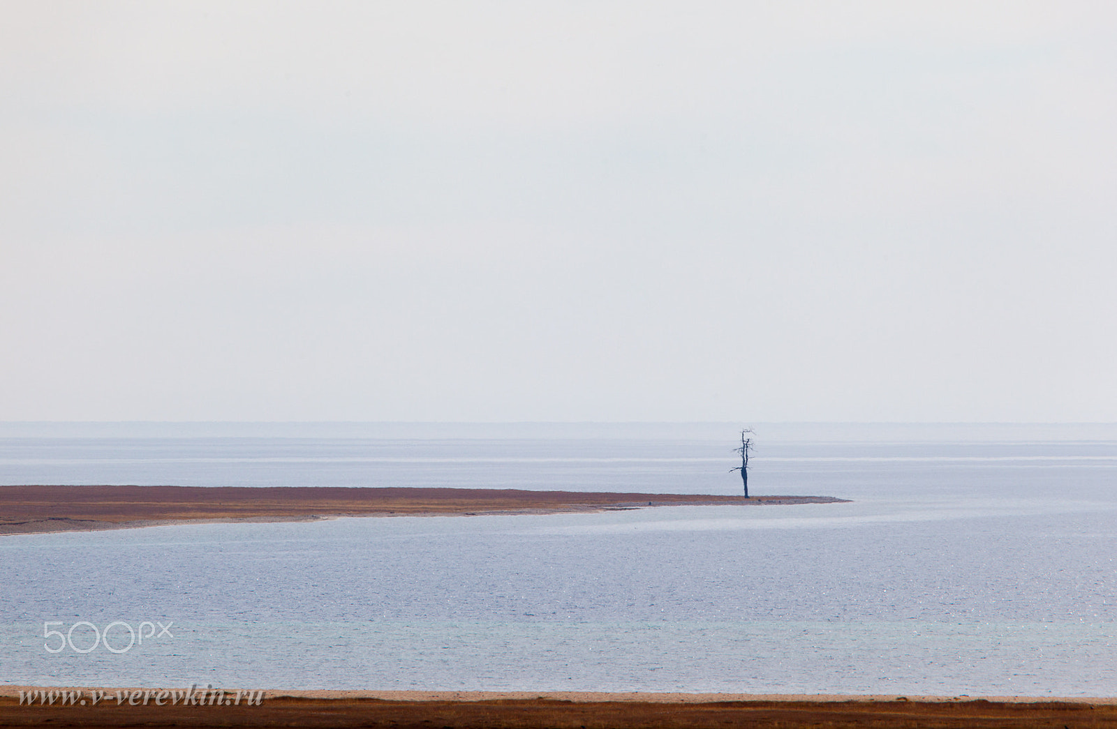 Canon EF 100-400mm F4.5-5.6L IS USM sample photo. Last. mongolia. lake hovsgol. photography