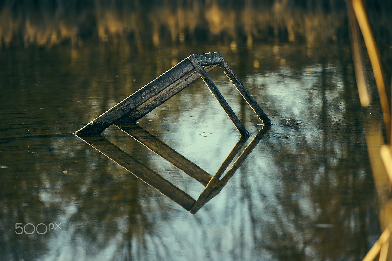 Sony a7 II + Tamron SP 70-300mm F4-5.6 Di USD sample photo. Reflection symmetry photography