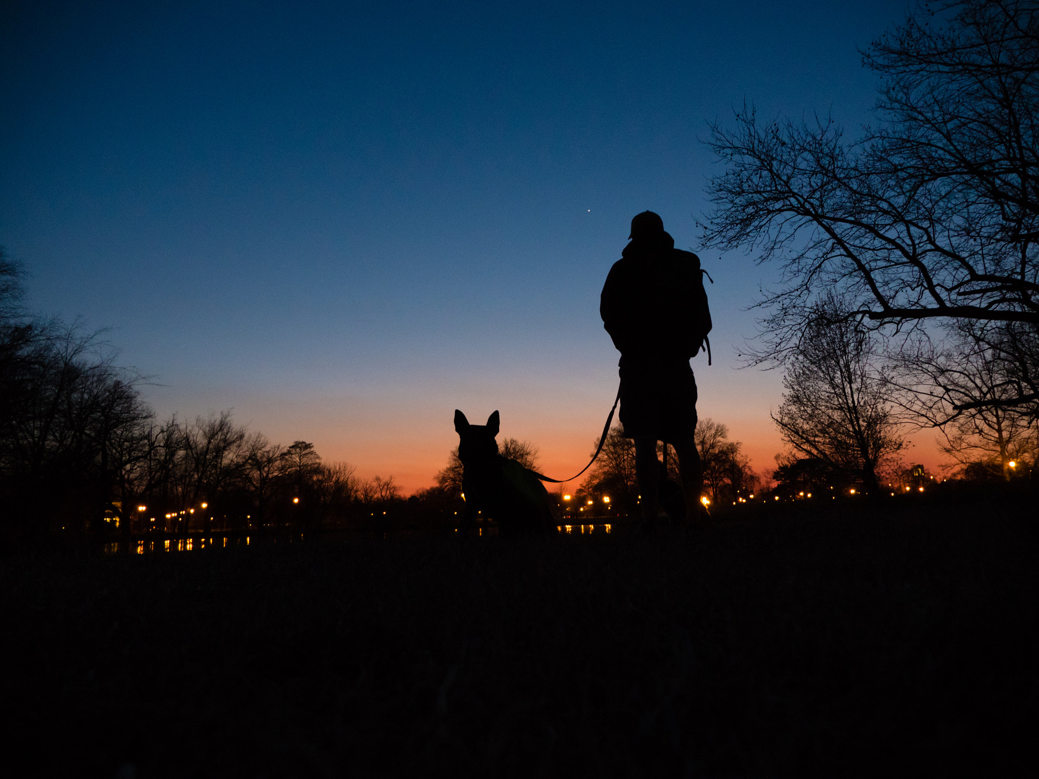 Panasonic Lumix G X Vario 12-35mm F2.8 ASPH Power OIS sample photo. Dan and his dog photography