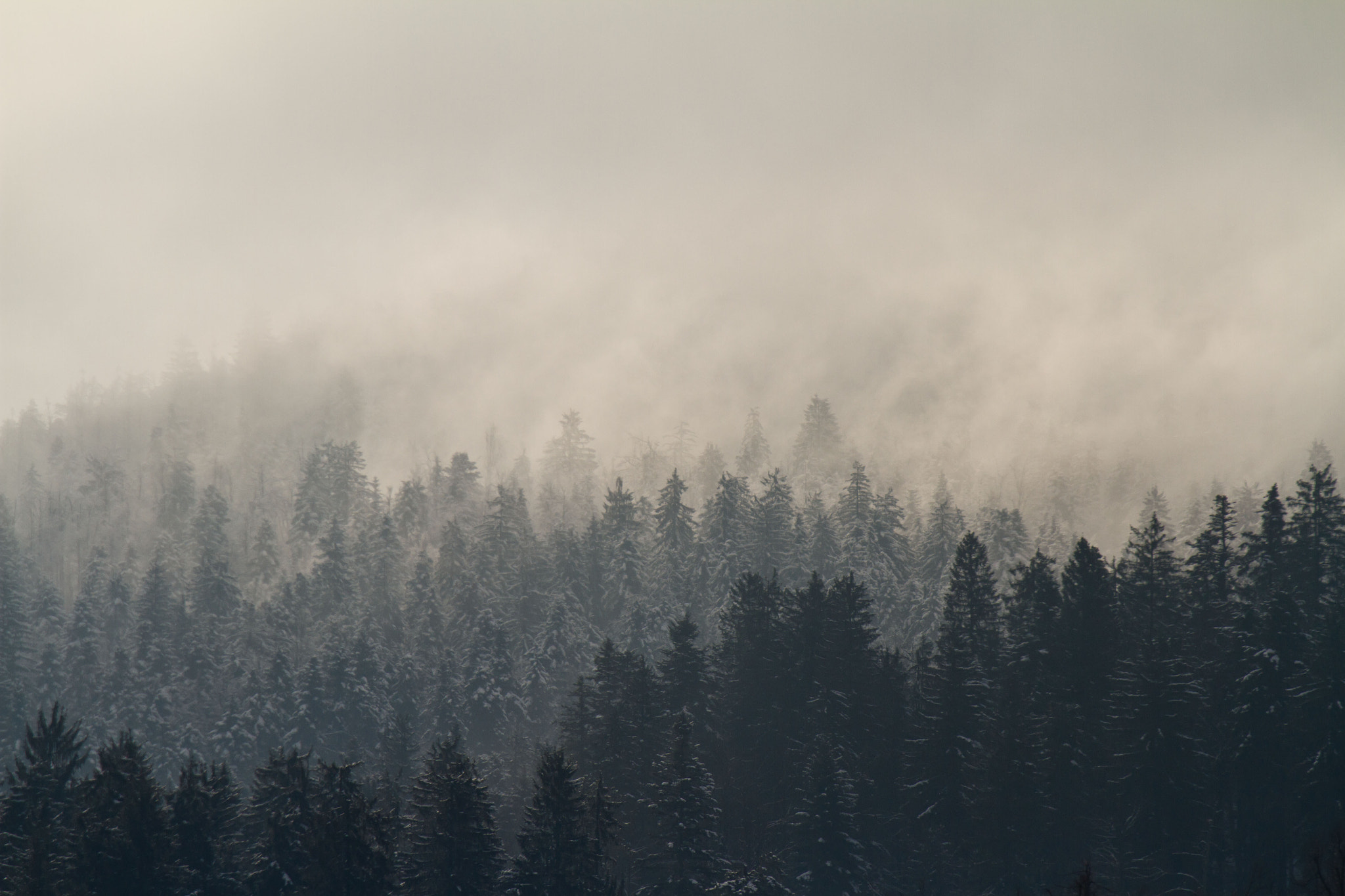 Canon EF-S 55-250mm F4-5.6 IS II sample photo. The mists photography