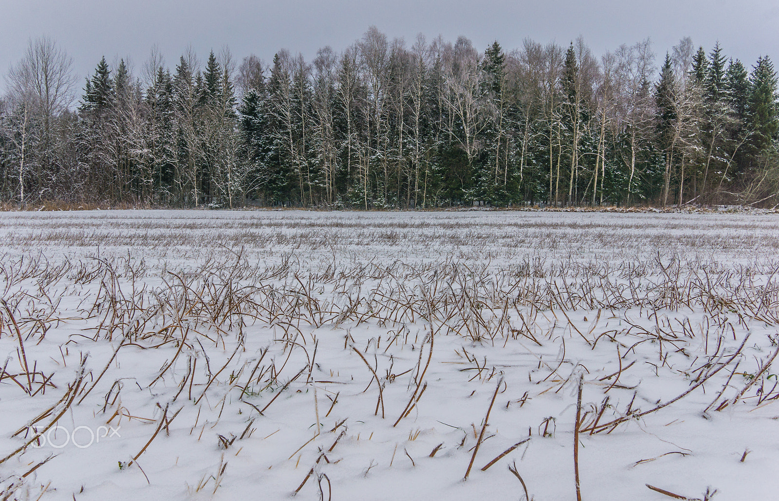 Sony Alpha NEX-6 + Sigma 19mm F2.8 EX DN sample photo. Dsc photography