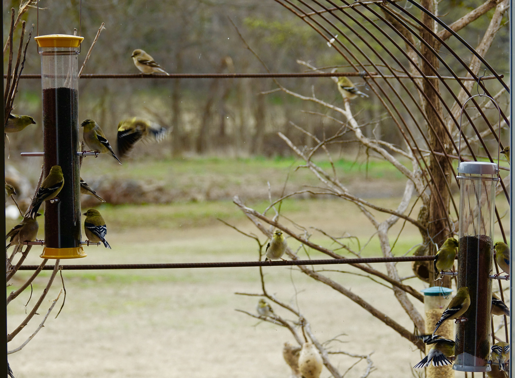 Sony 24-600mm F2.4-4.0 sample photo