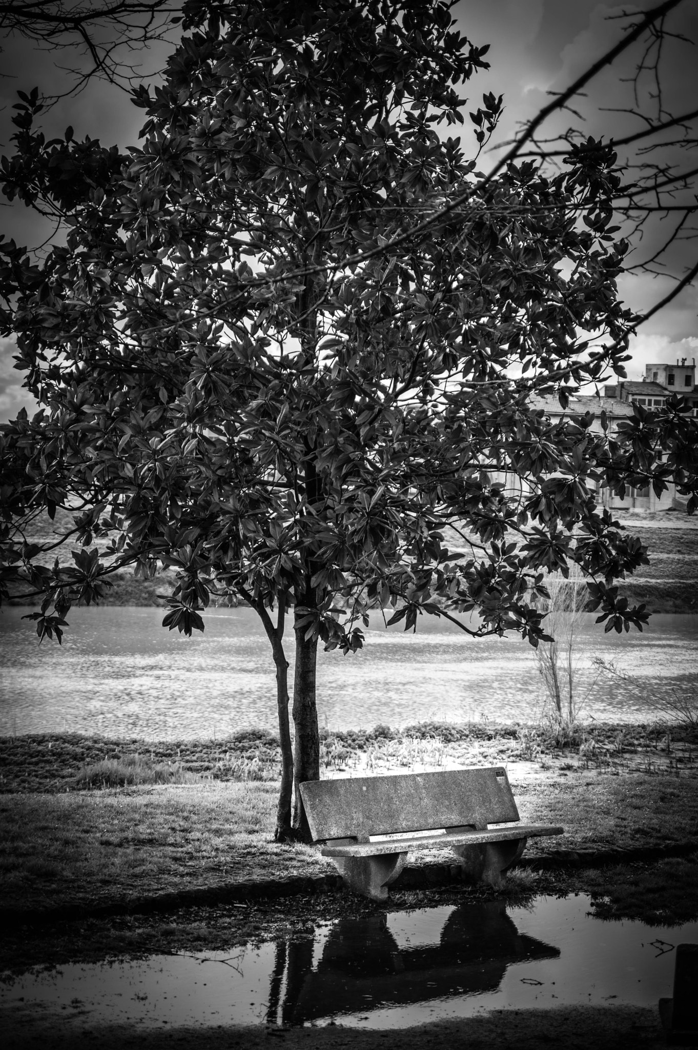 Nikon D3200 sample photo. Aspettare è ancora un’occupazione. È non aspettare niente che è terribile. (cesare pavese) photography