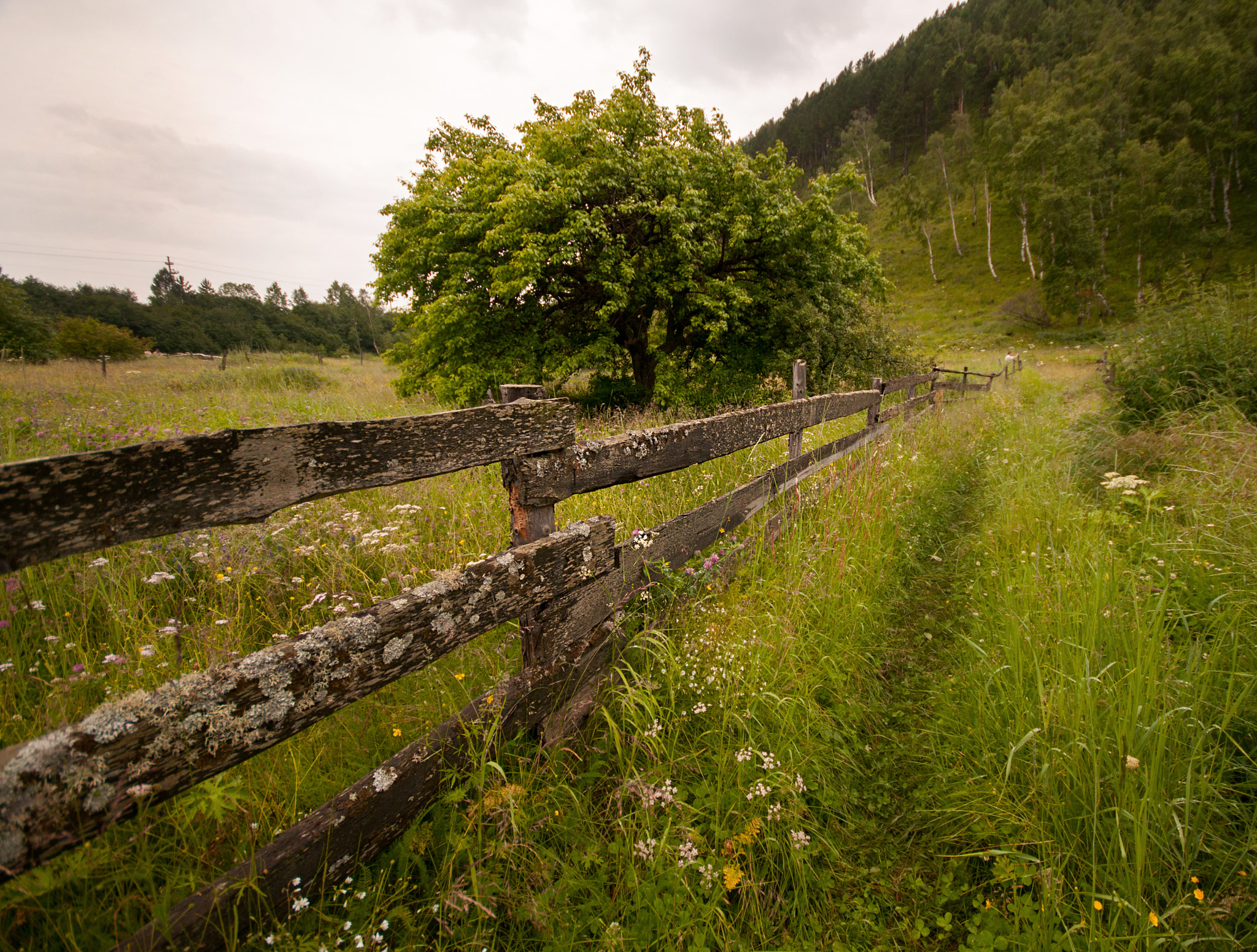 Sigma 10-20mm F4-5.6 EX DC HSM sample photo. Harmony photography