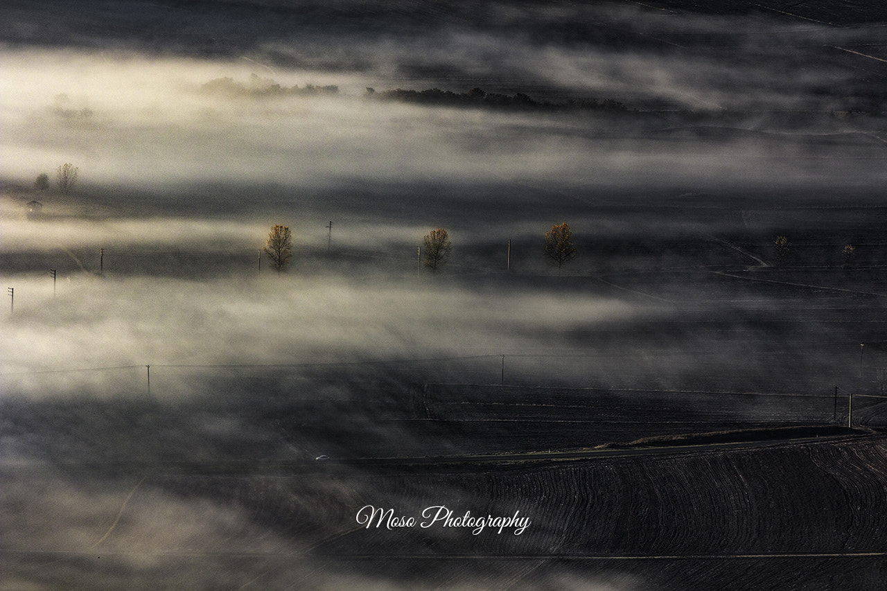 Canon EF 70-200mm F2.8L IS II USM sample photo. Morning fog photography