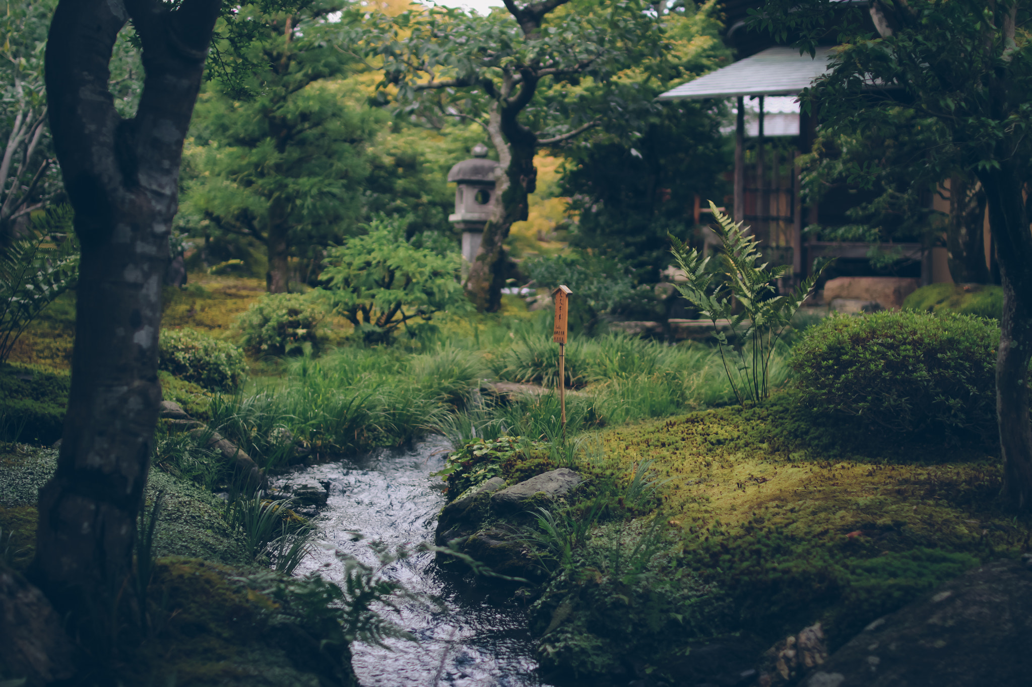 Sigma 30mm F1.4 EX DC HSM sample photo. Mini garden in kyoto photography