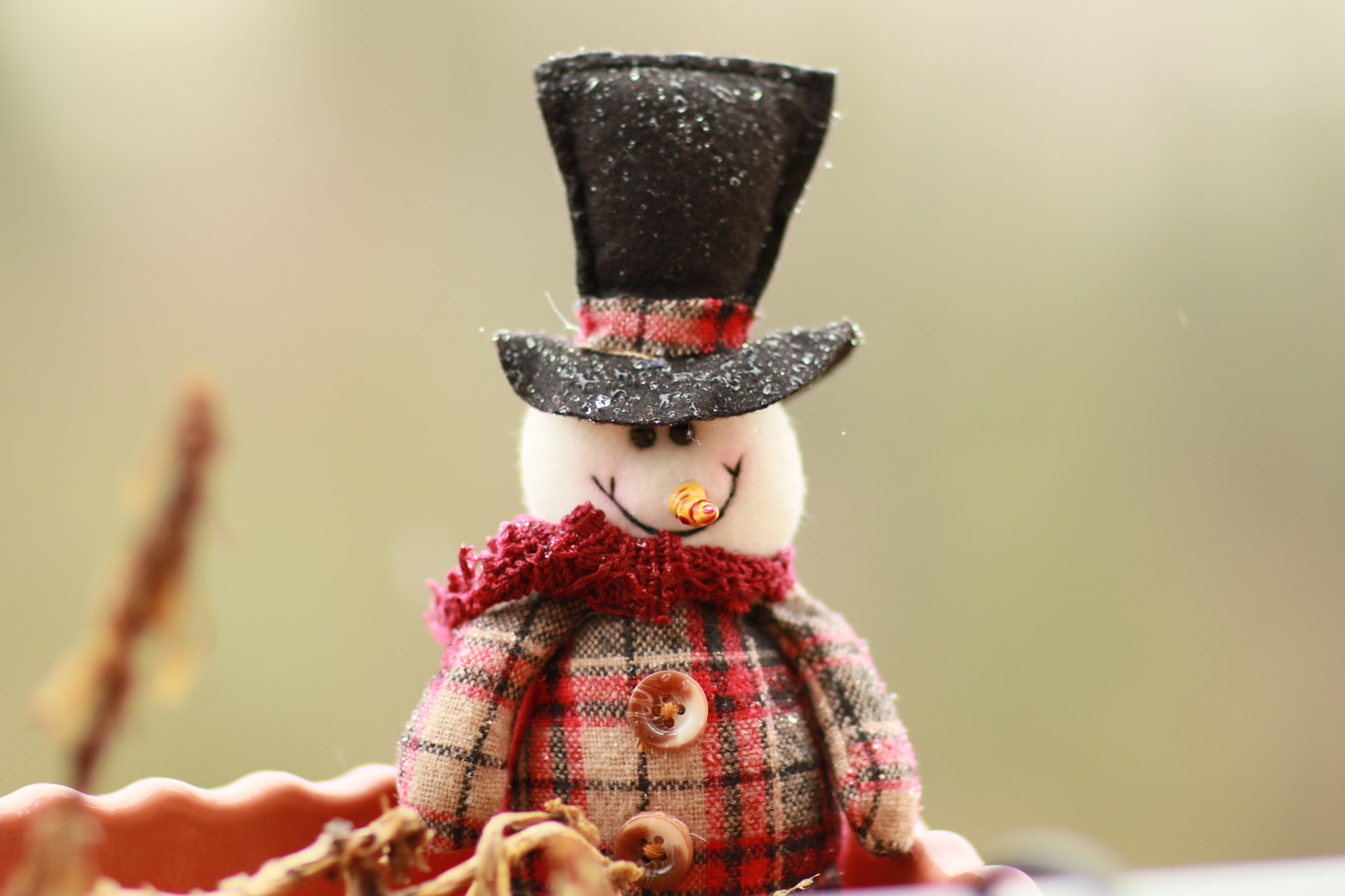 Canon EF 85mm F1.2L II USM sample photo