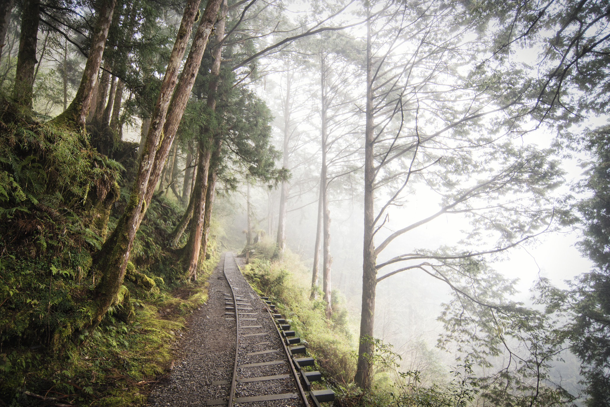 Nikon AF-S Nikkor 18-35mm F3.5-4.5G ED sample photo. Relaxed. leave everything behind. photography