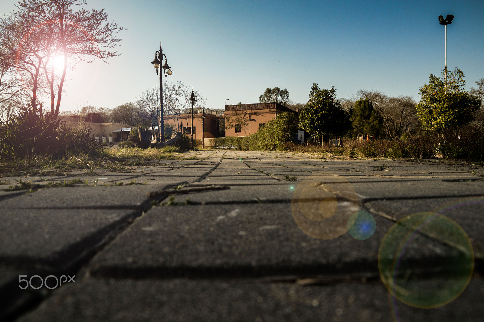 Nikon D3200 sample photo. Beautiful evening view photography