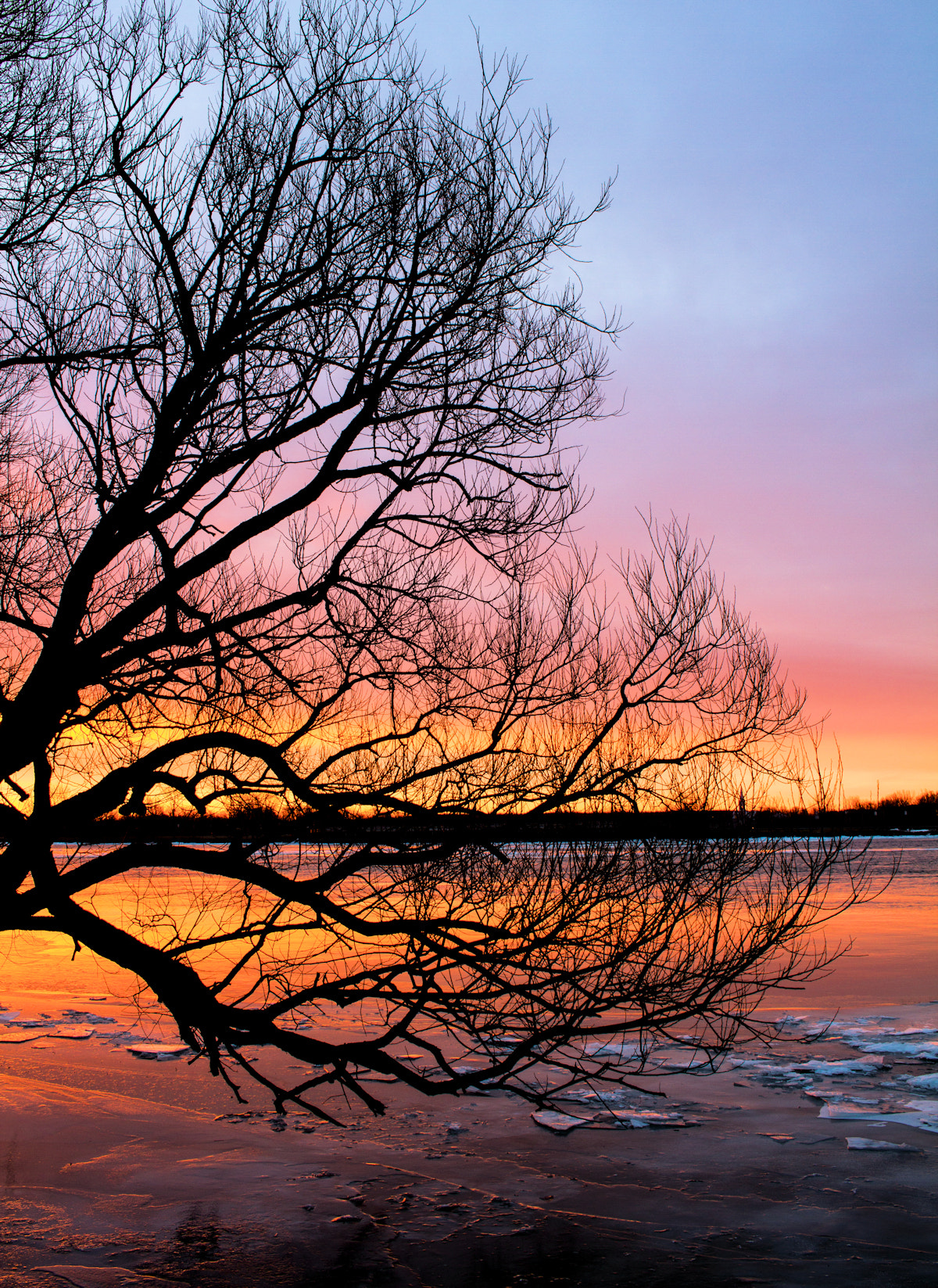 Canon EOS 7D + Canon EF-S 24mm F2.8 STM sample photo. Tree on a winter sunrise photography