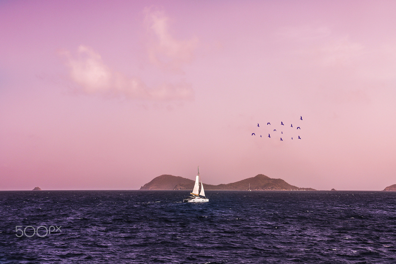 Sigma 18-35mm f/1.8 DC HSM sample photo. Boat n birds photography