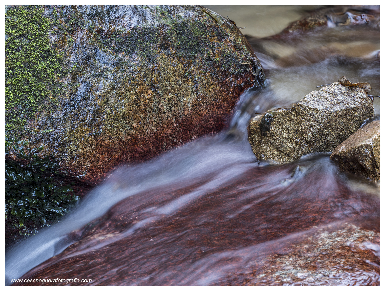 Olympus OM-D E-M1 Mark II + Olympus M.Zuiko Digital ED 40-150mm F2.8 Pro sample photo. Camins d'aigua photography