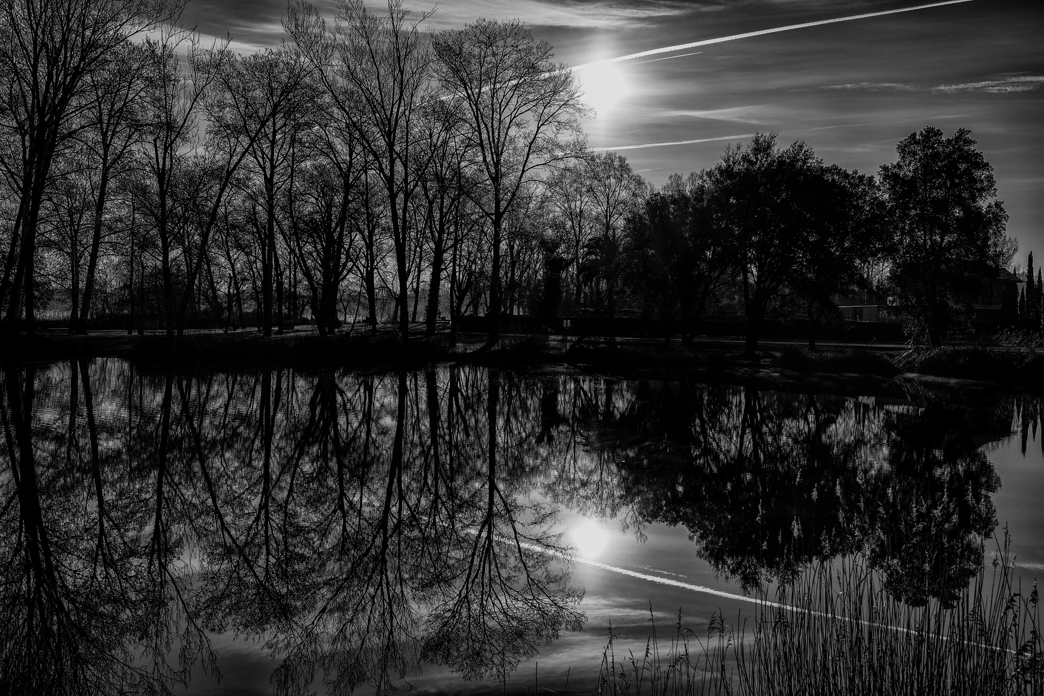 Nikon D5 sample photo. Reflections in the lake photography