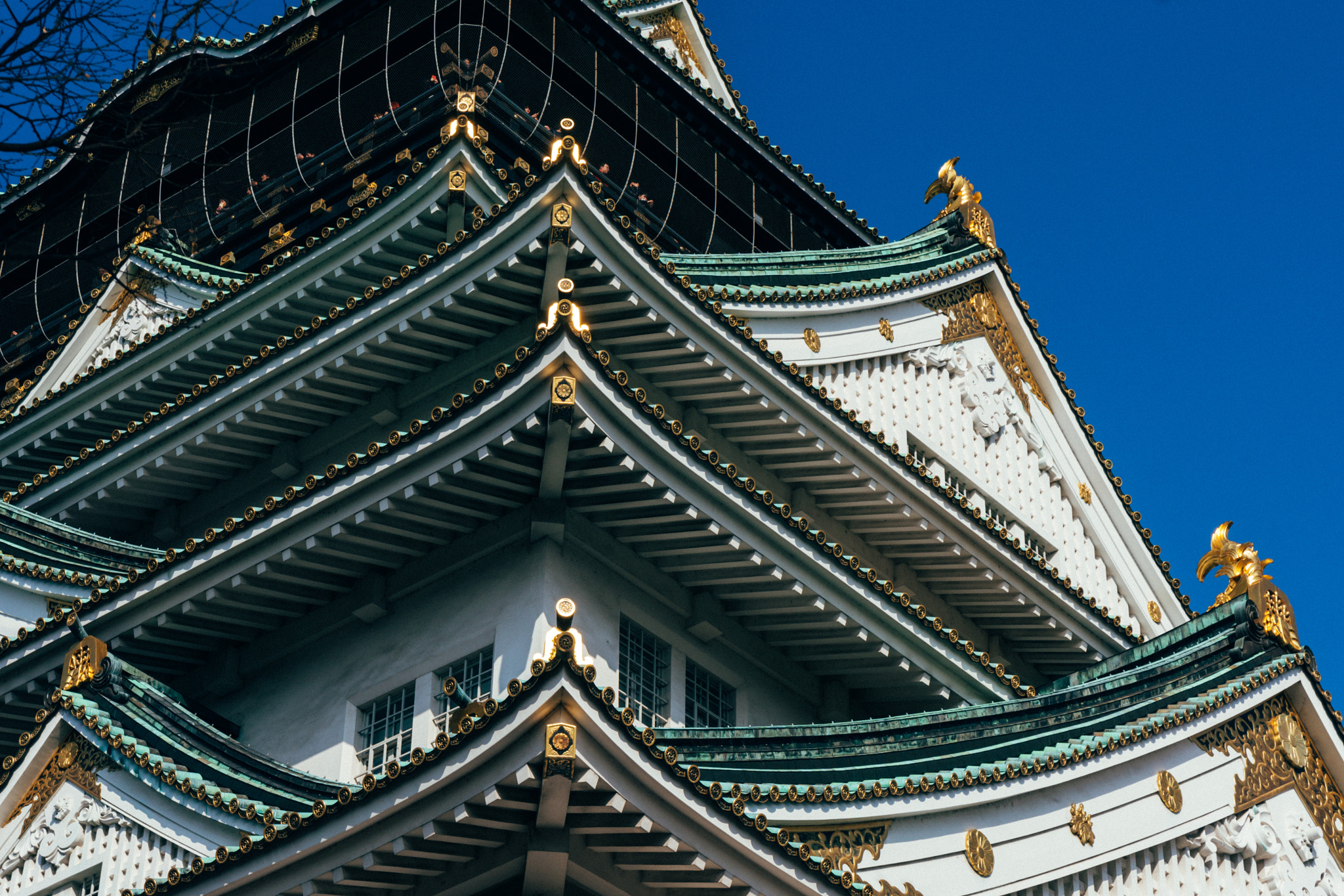 Sony a6300 + Sony Vario-Tessar T* E 16-70mm F4 ZA OSS sample photo. Null photography