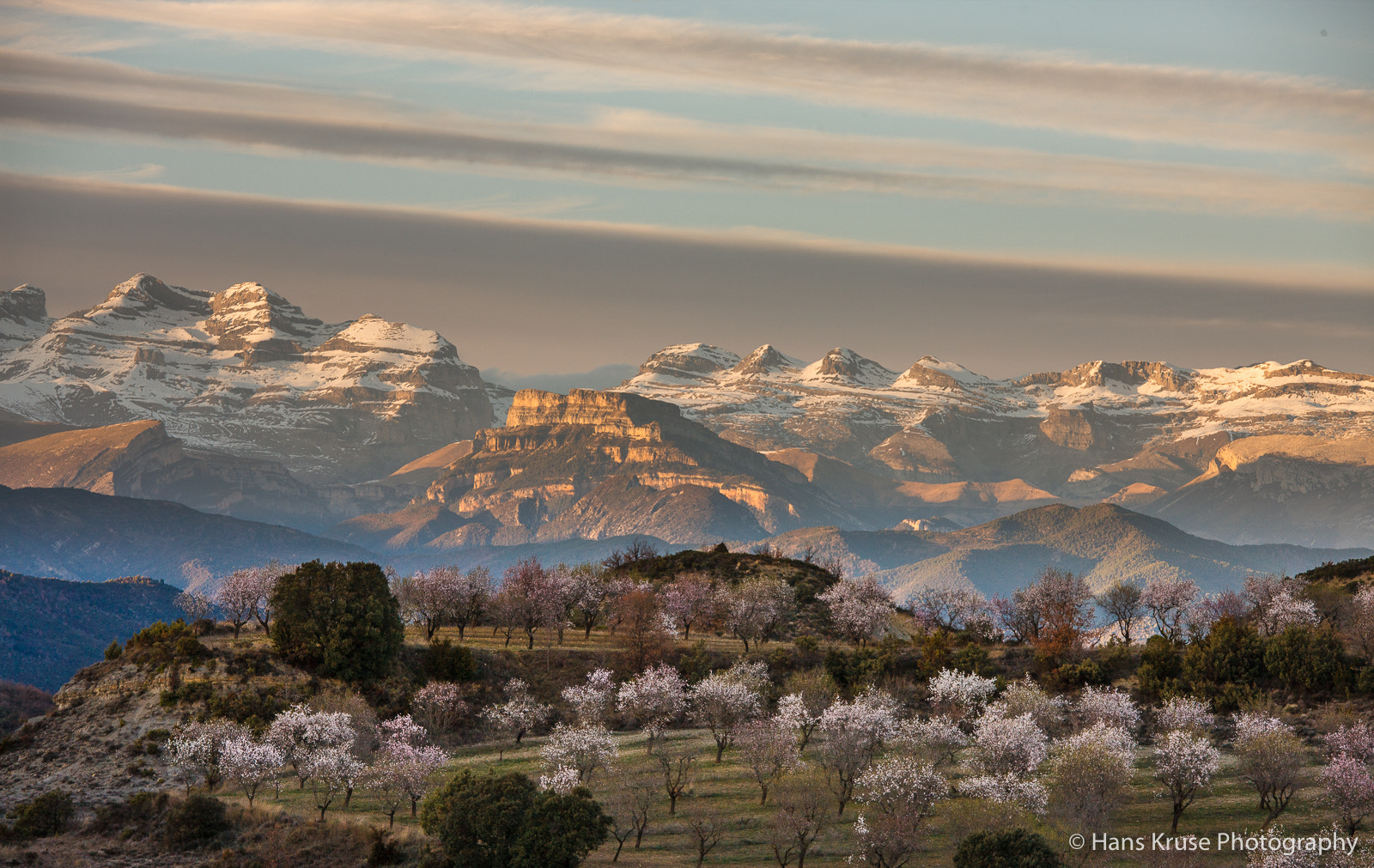 Canon EOS-1Ds Mark III sample photo. Trees blossom in early spring in spain photography